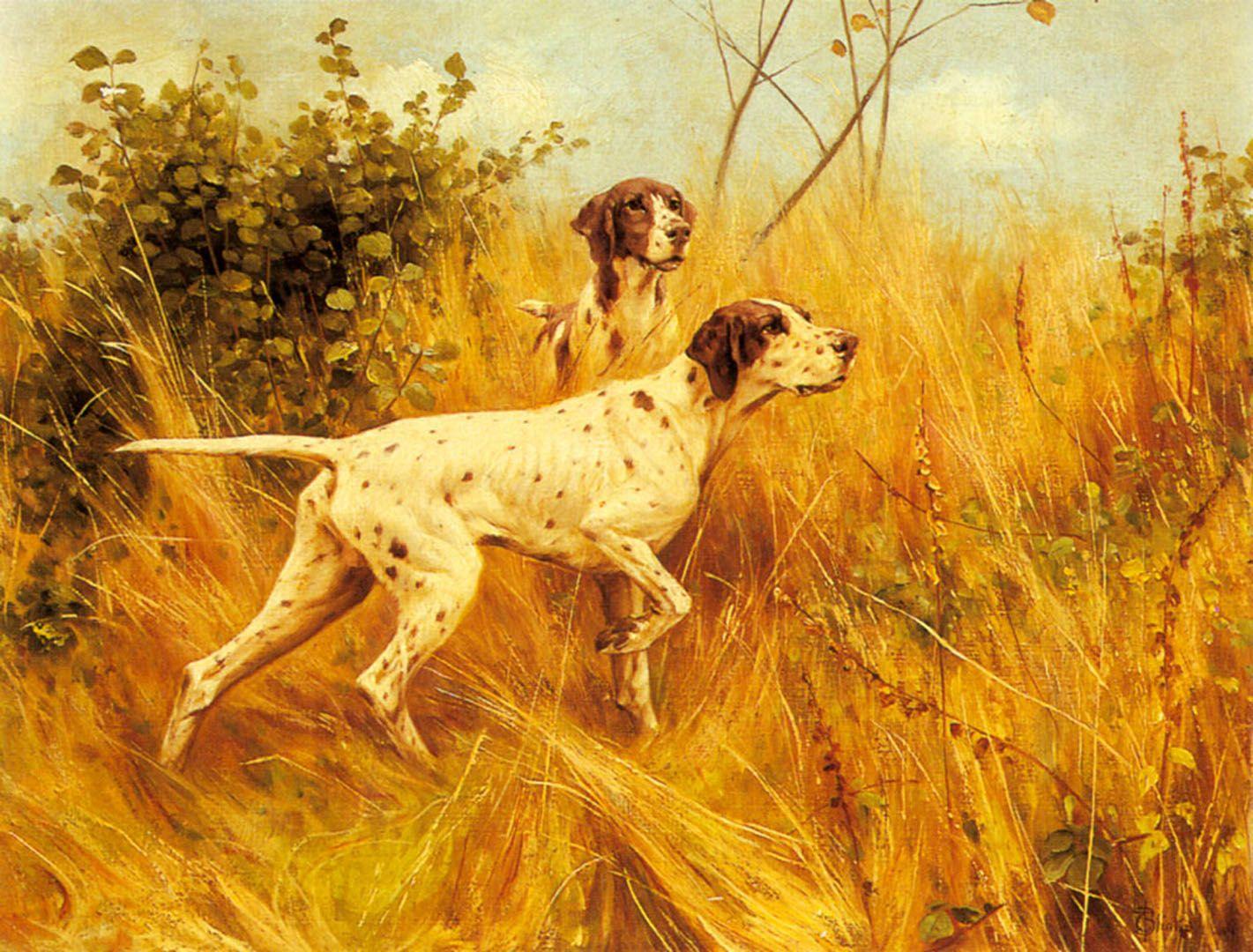 1421x1080 English Pointer Wallpaper. Mouse Pointer Wallpaper, Pointer Sisters Wallpaper and Pudelpointer Wallpaper