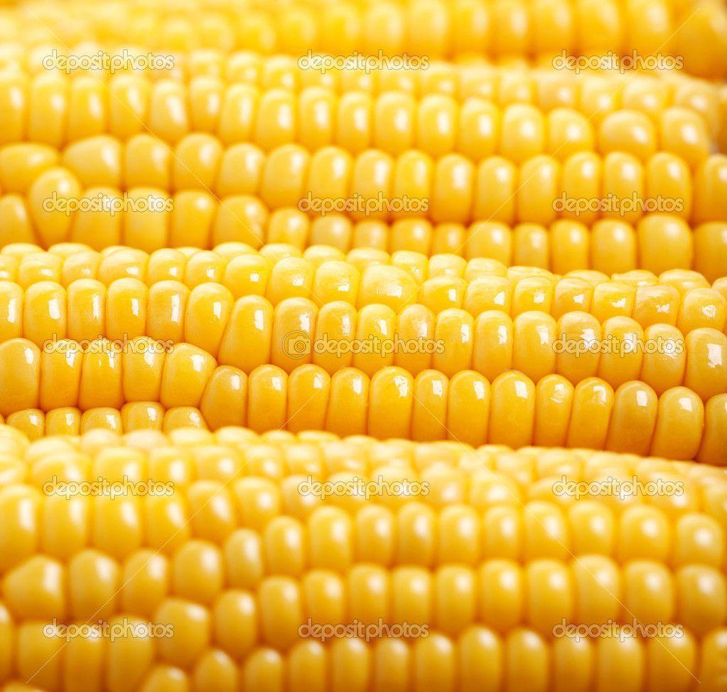 1023x973 Maize Wallpaper