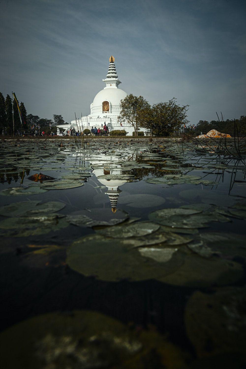 1000x1500 Lumbini Nepal Picture. Download Free Image