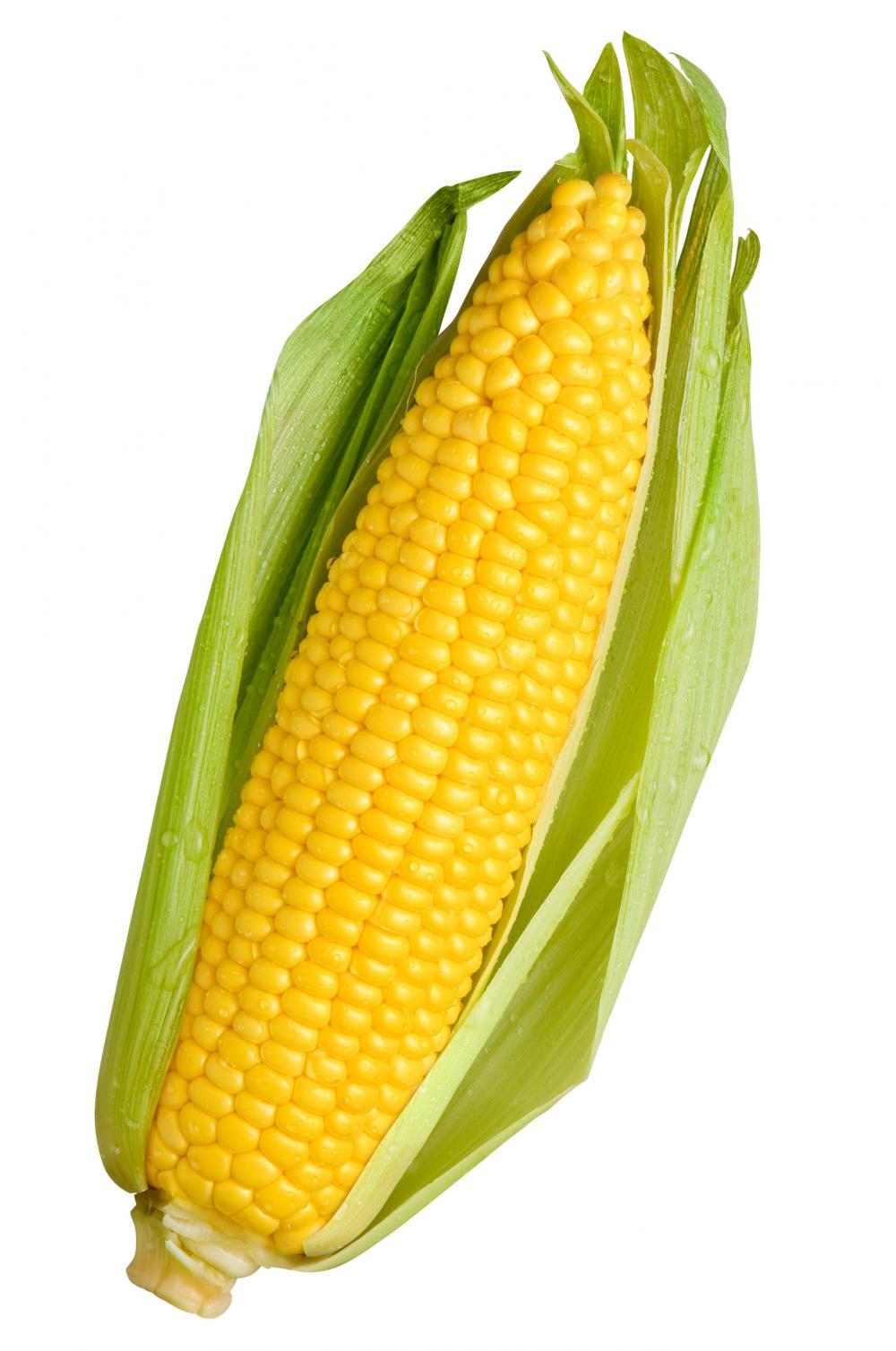 1000x1507 Corn wallpaper, Food, HQ Corn pictureK Wallpaper 2019