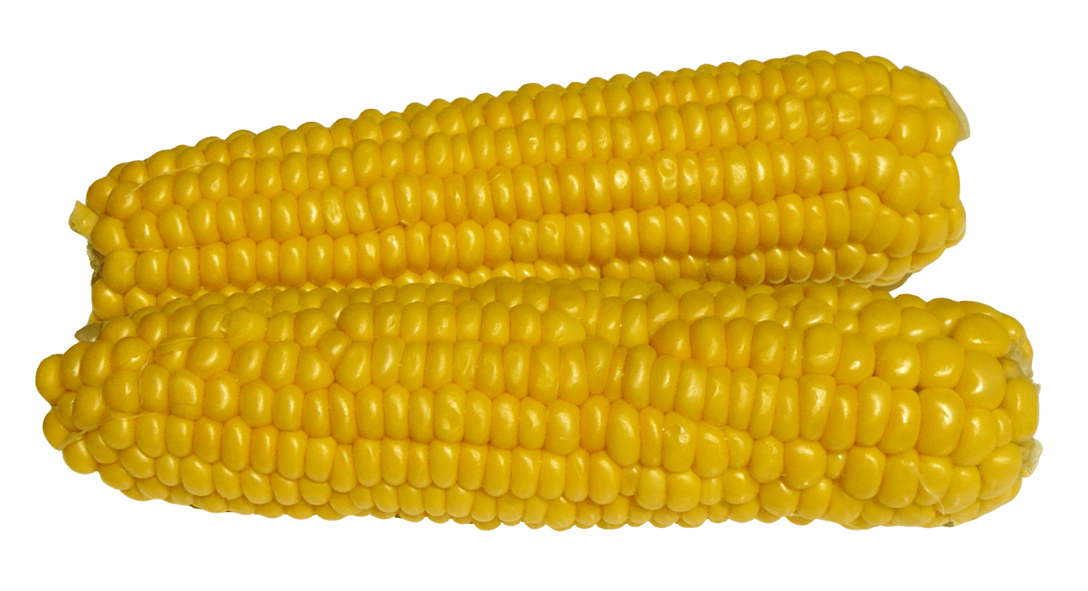 1572x854 Corn PNG Image. Corn, Image, Png image