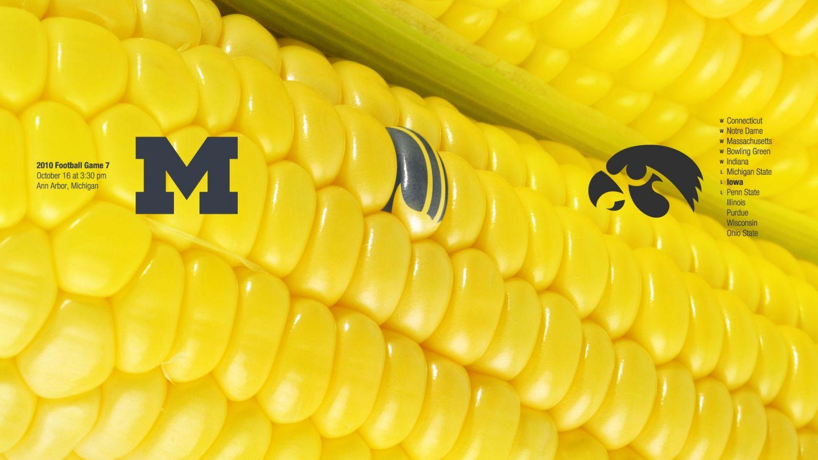 1600x900 Free download 35 Maize Wallpaper Download [1920x1440] for your Desktop, Mobile & Tablet. Explore Illinois Corn Field Wallpaper. Illinois Corn Field Wallpaper, Illinois Wallpaper, Illinois Wrestling Wallpaper