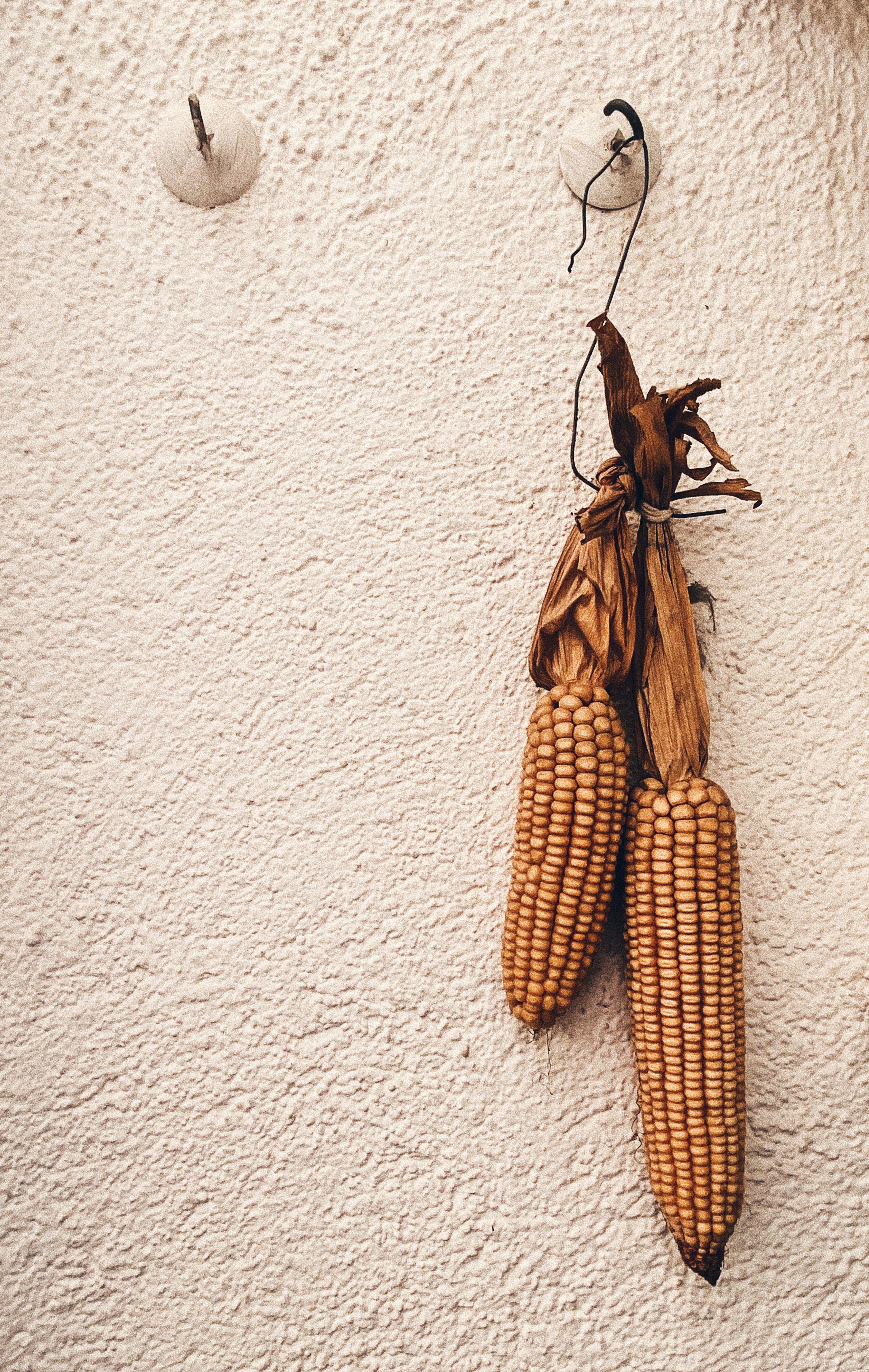 2423x3823 ♡Aesthetic Stuff♡. Pink acrylic nails, Corn, Aesthetic