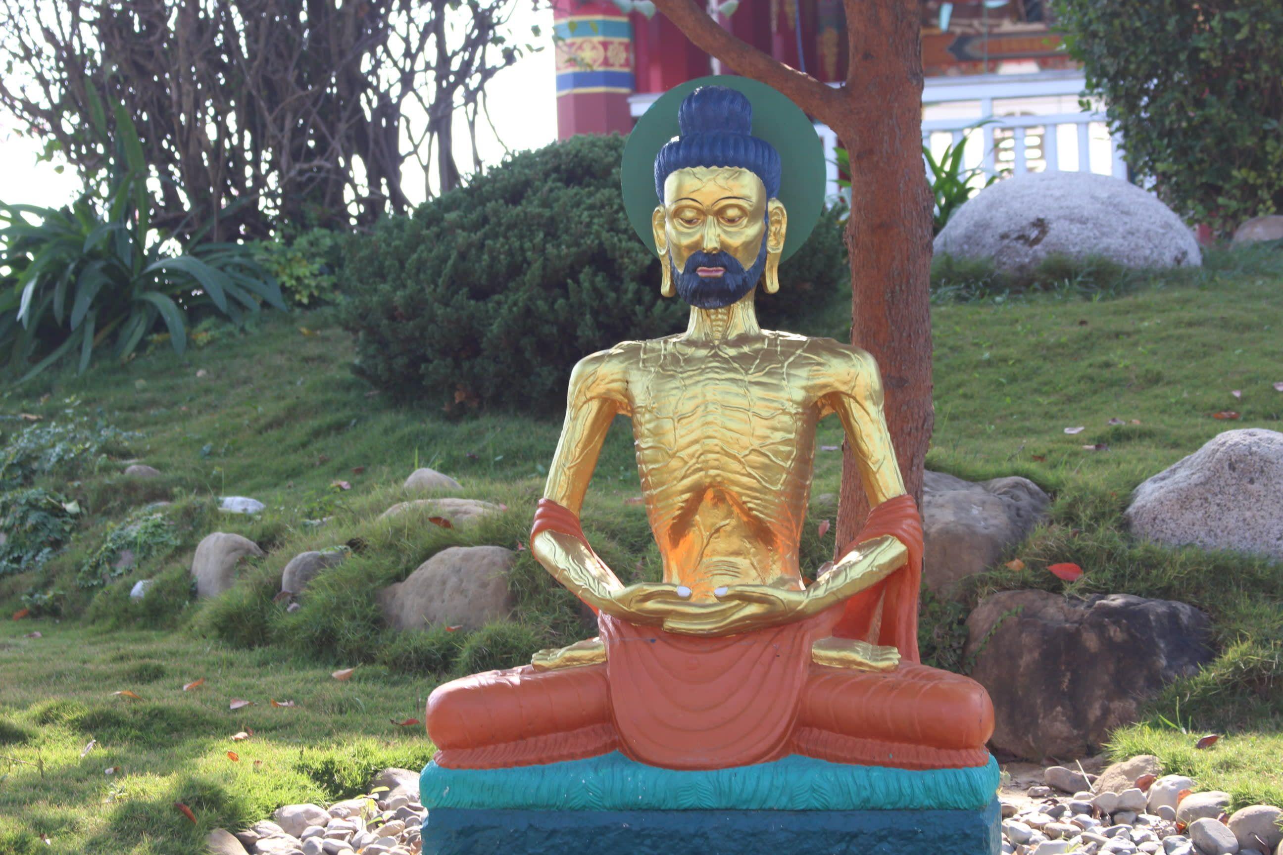 2592x1728 Give you 10 photo of lumbini birth place of lord buddha