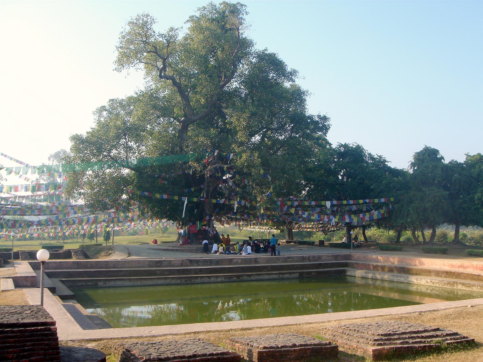 2000x1500 Lumbini. VISIT NEPAL INFORMATION. TRAVEL. WILDLIFE