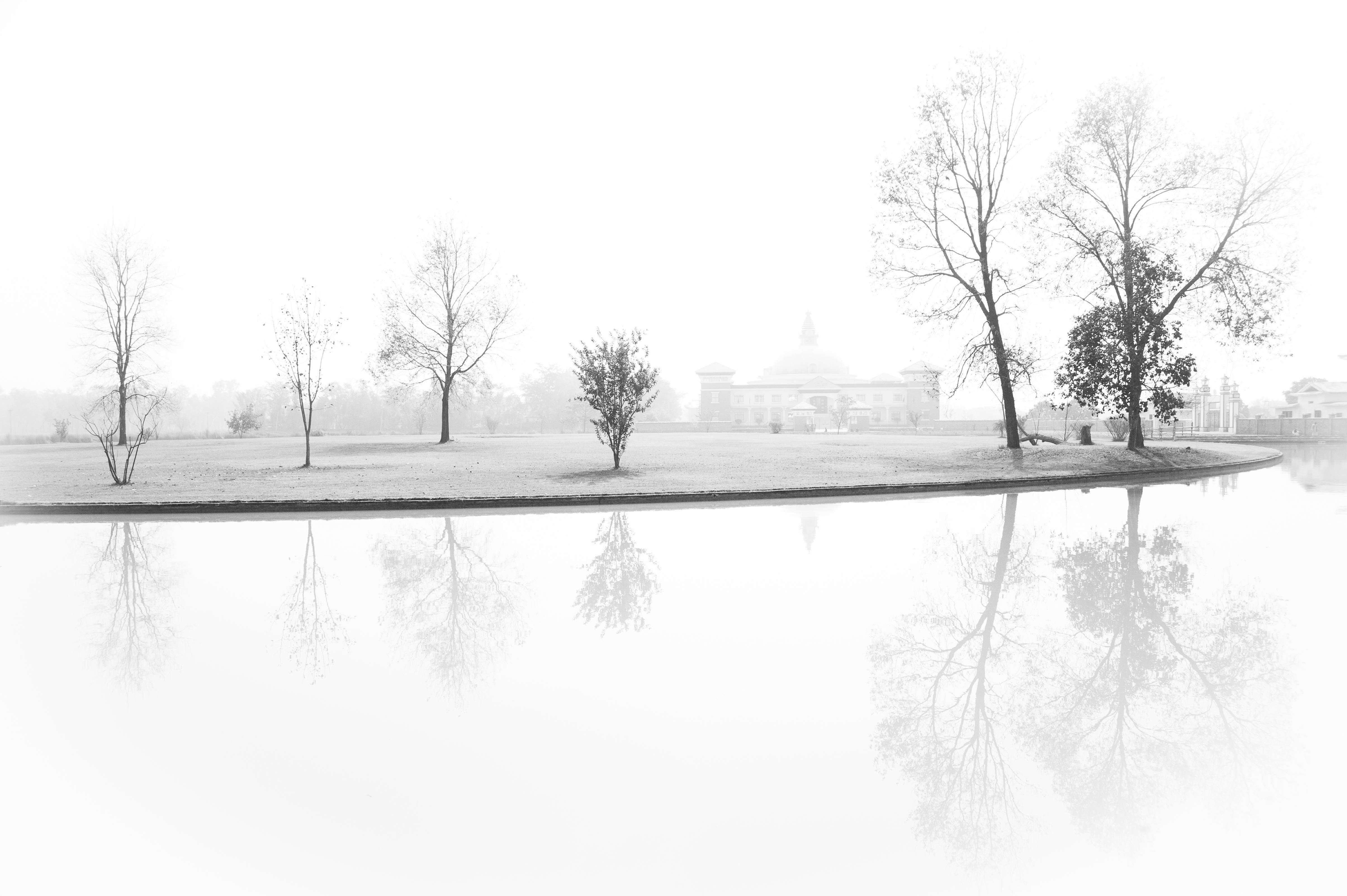 4819x3206 Peace, Lumbini, Nepal Print by Argenta Creative in Art & Prints