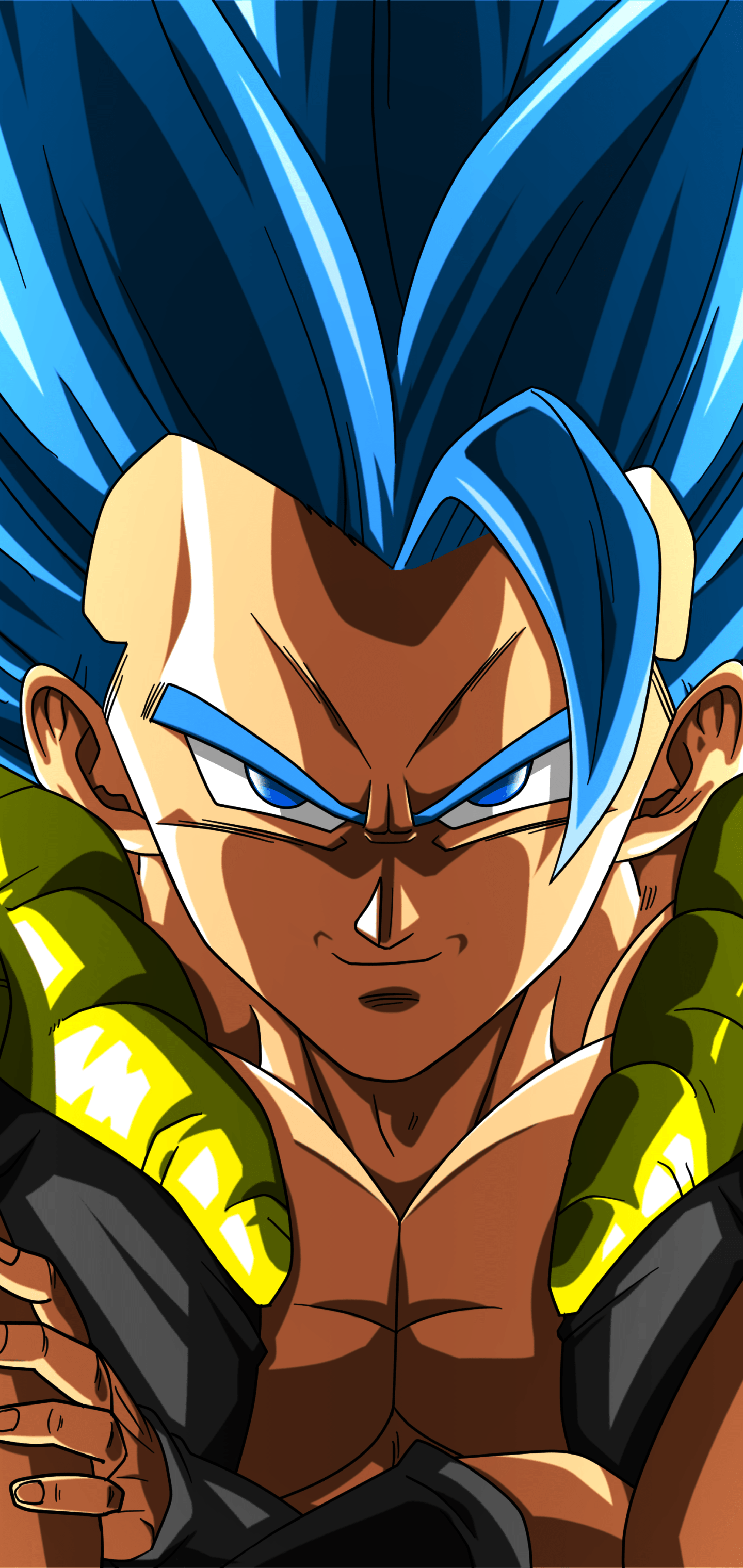 1440x3040 Fusion Dragon Ball Anime Wallpaper