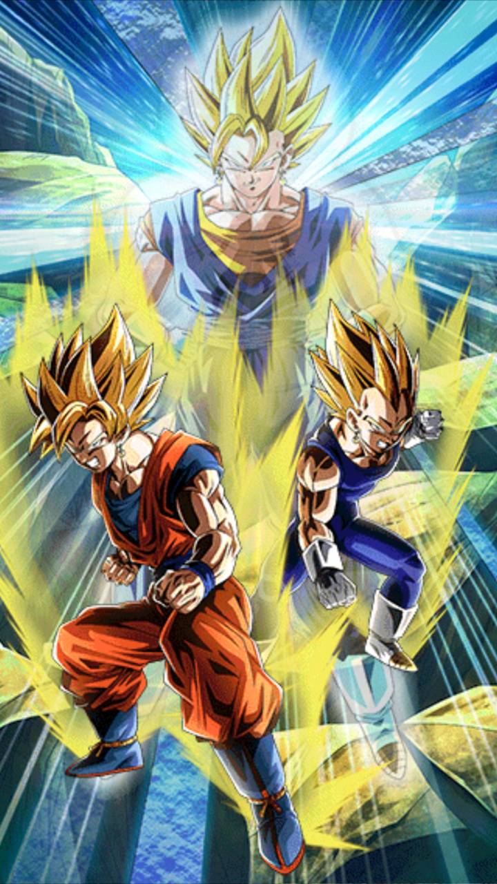 720x1280 Dragonball Fusion Wallpaper