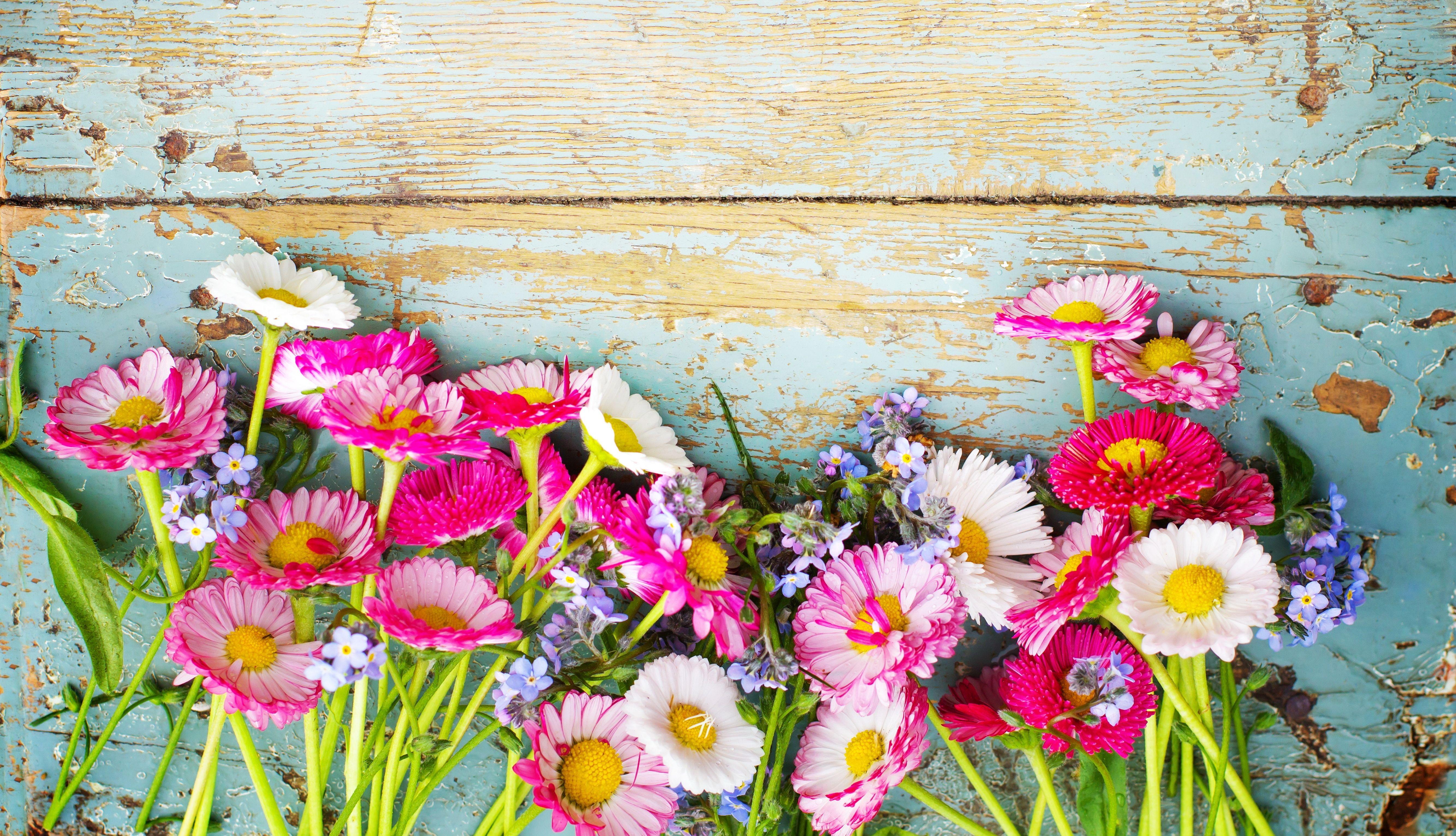 5335x3063 Collection of Vintage Flowers Background, Vintage Flowers FHDQ Wallpaper