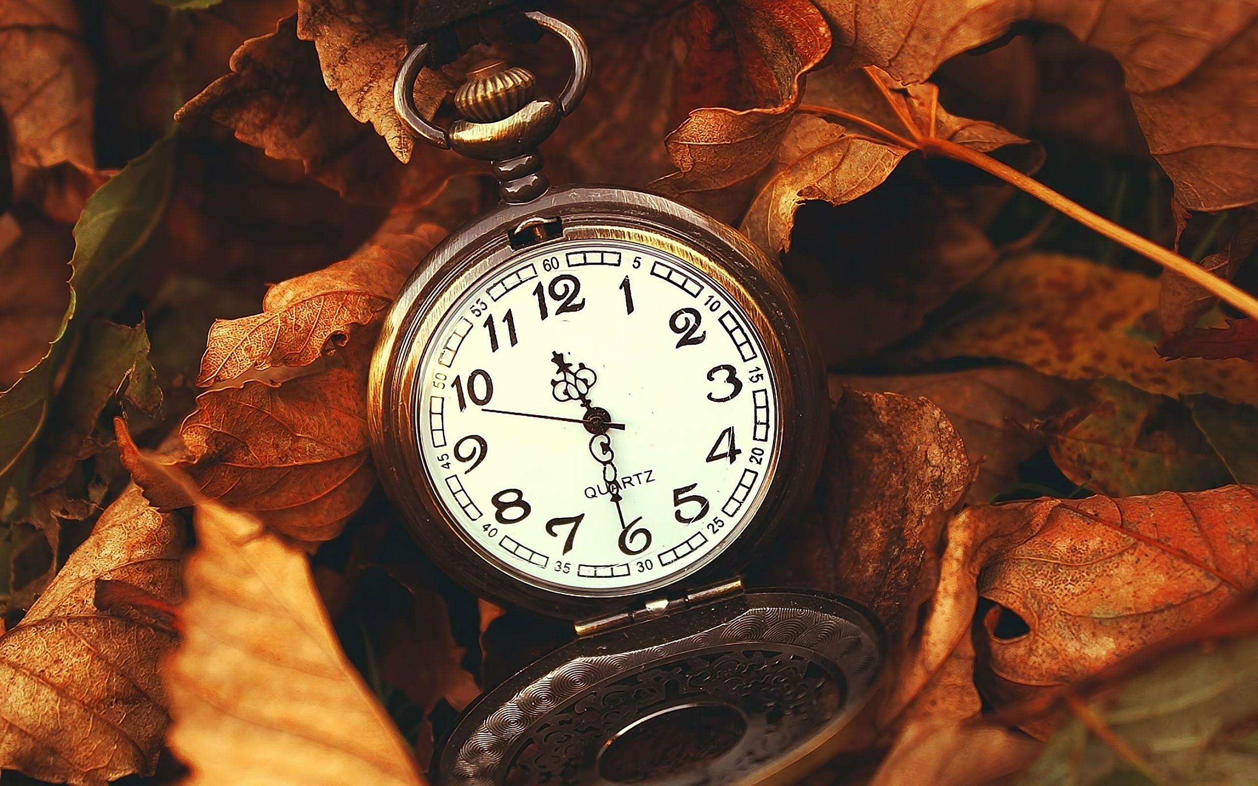 2560x1600 Old Pocket Watch Wallpaper Background 49503 2560x1600px