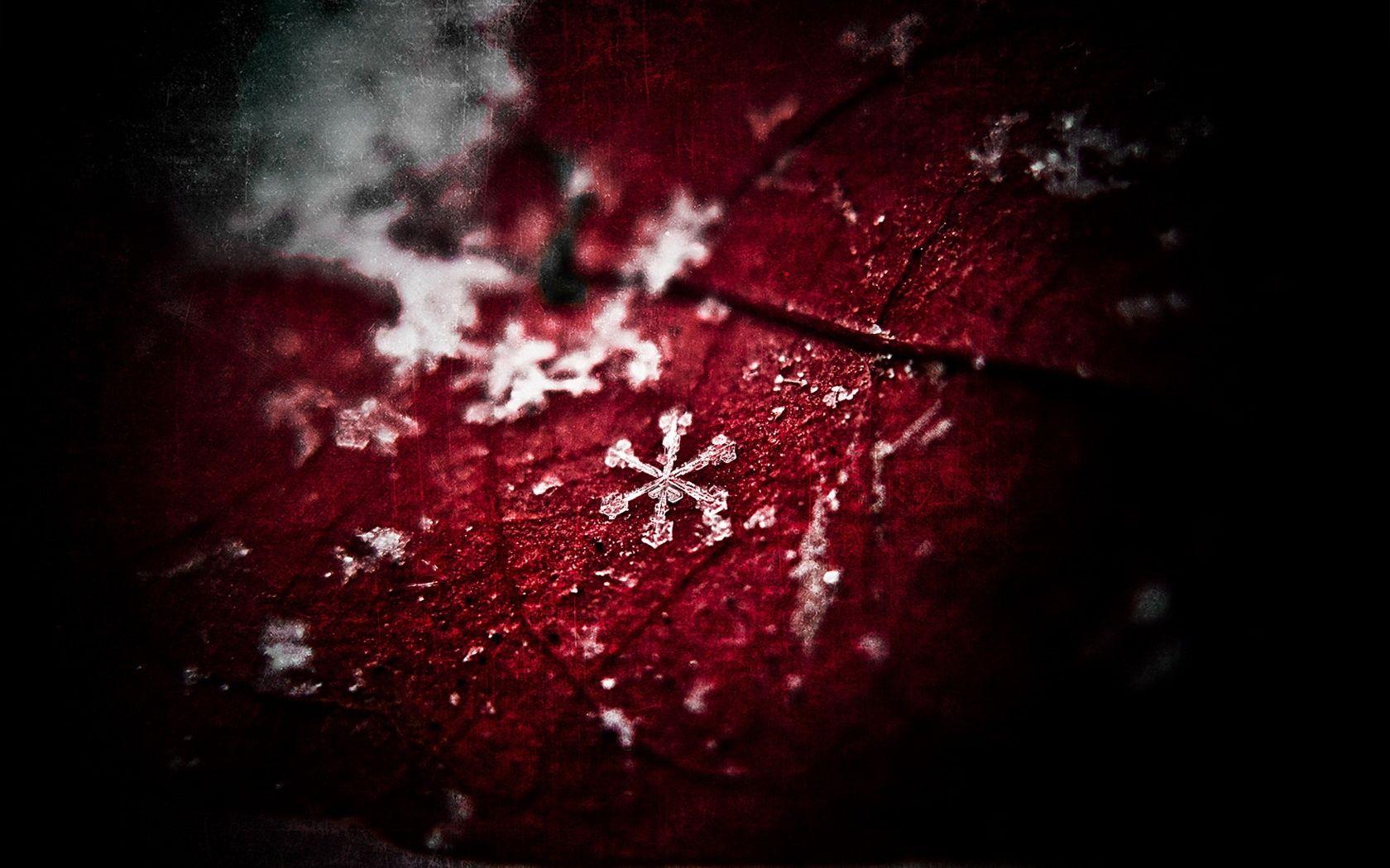 1680x1050 Black and Red Abstract iPhone Wallpaper 431