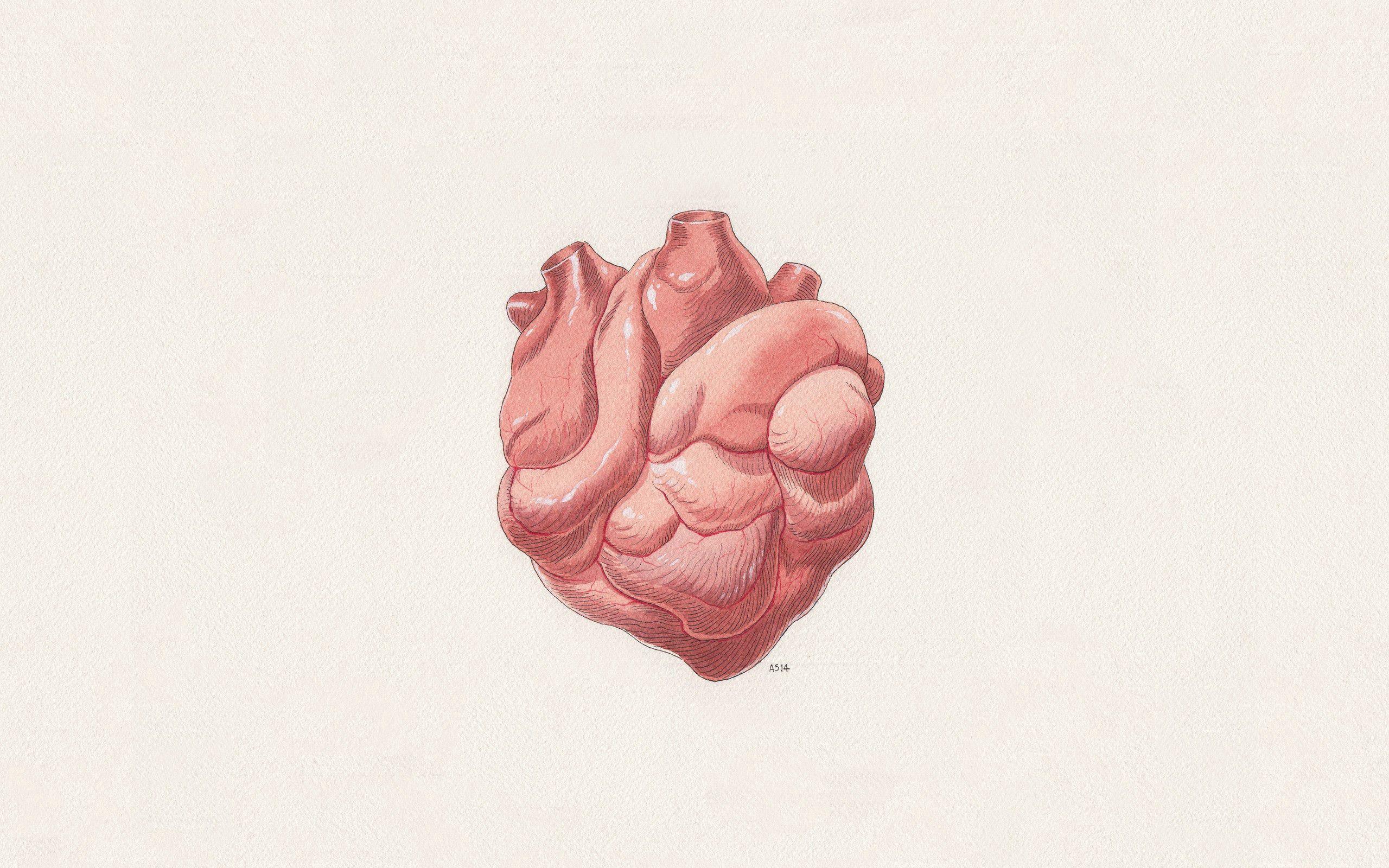 2560x1600 Download wallpaper 2560x1600 digital art, heart, art, background HD background