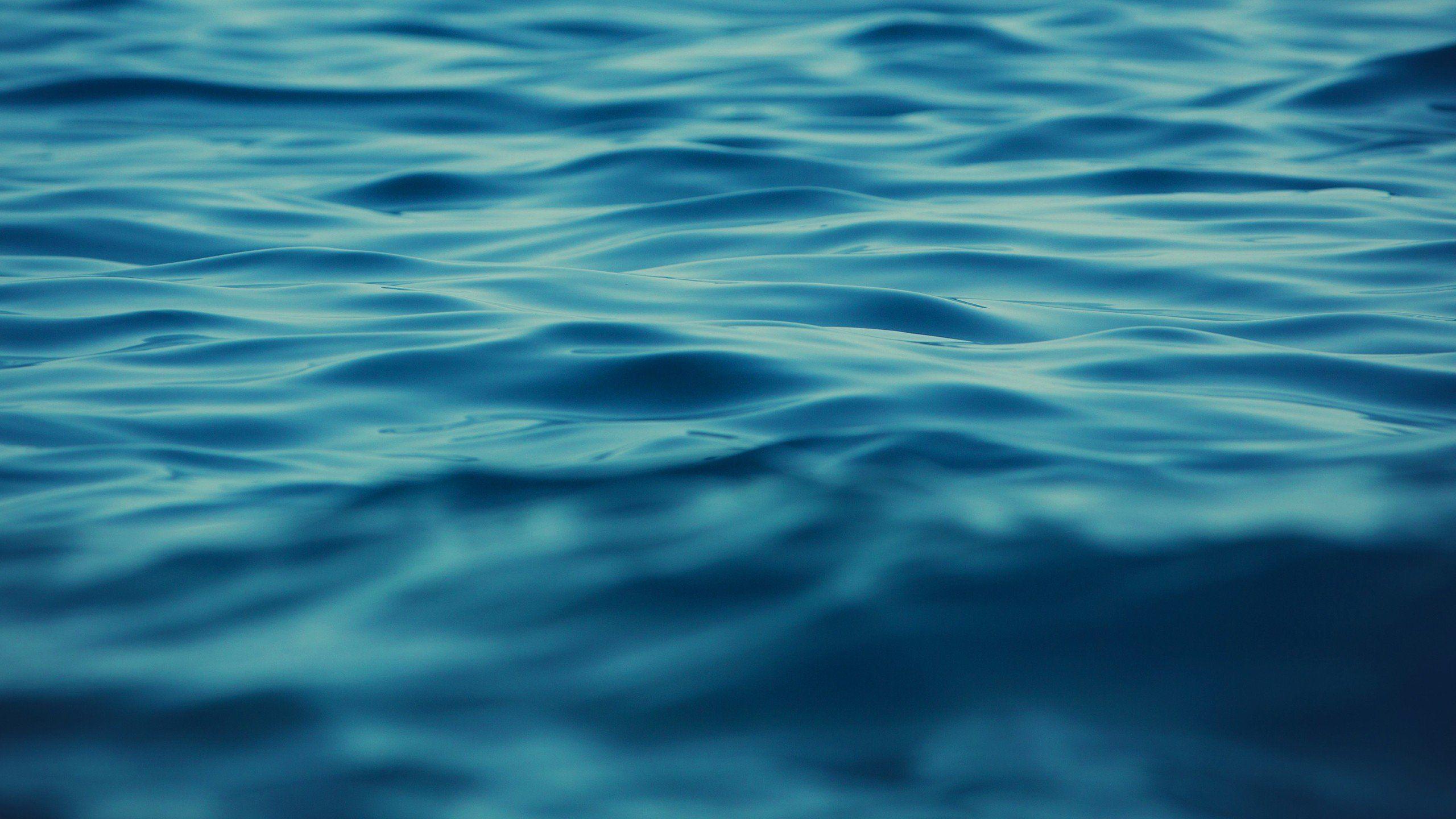 2560x1440 Ultra HD 16k Wallpaper