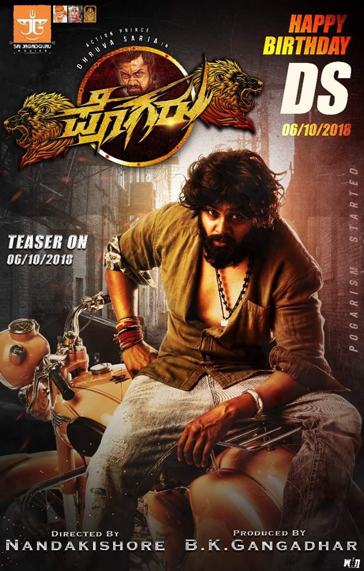 720x1128 Pogaru (2021)