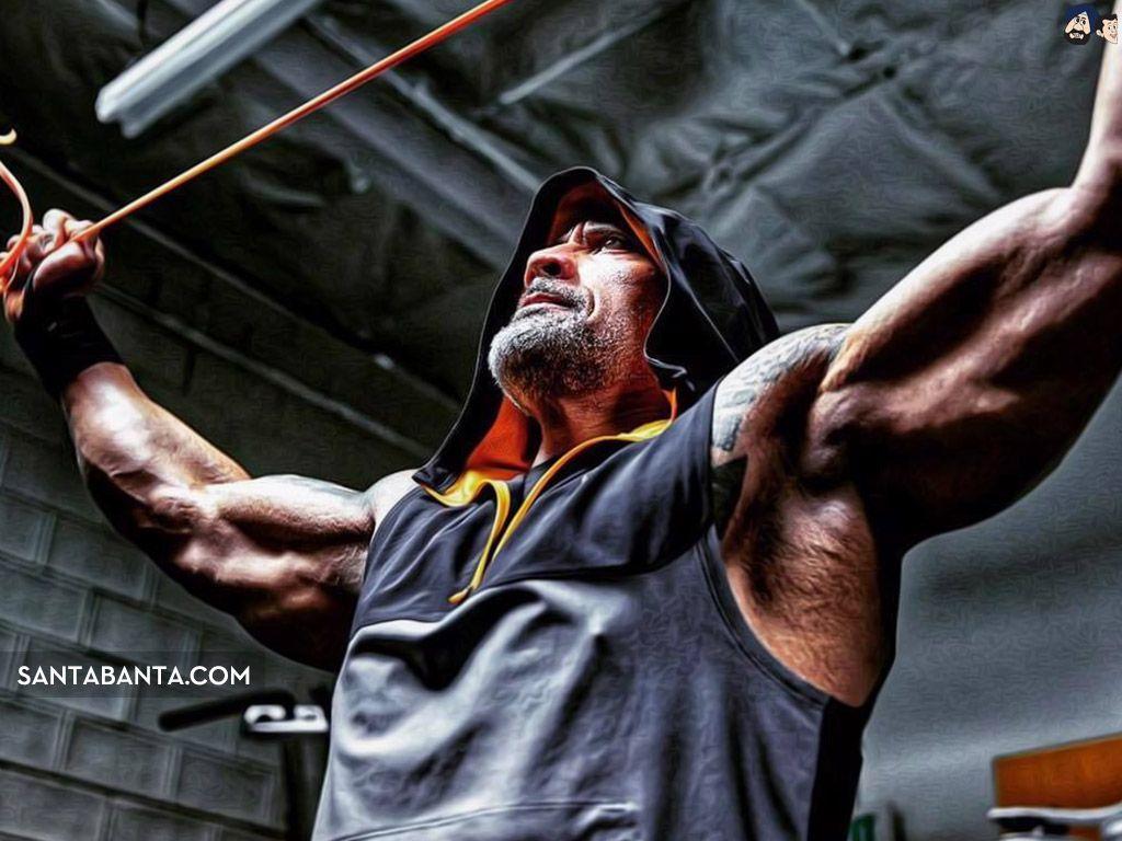 1024x768 Dwayne Johnson The Rock Bodybuilder