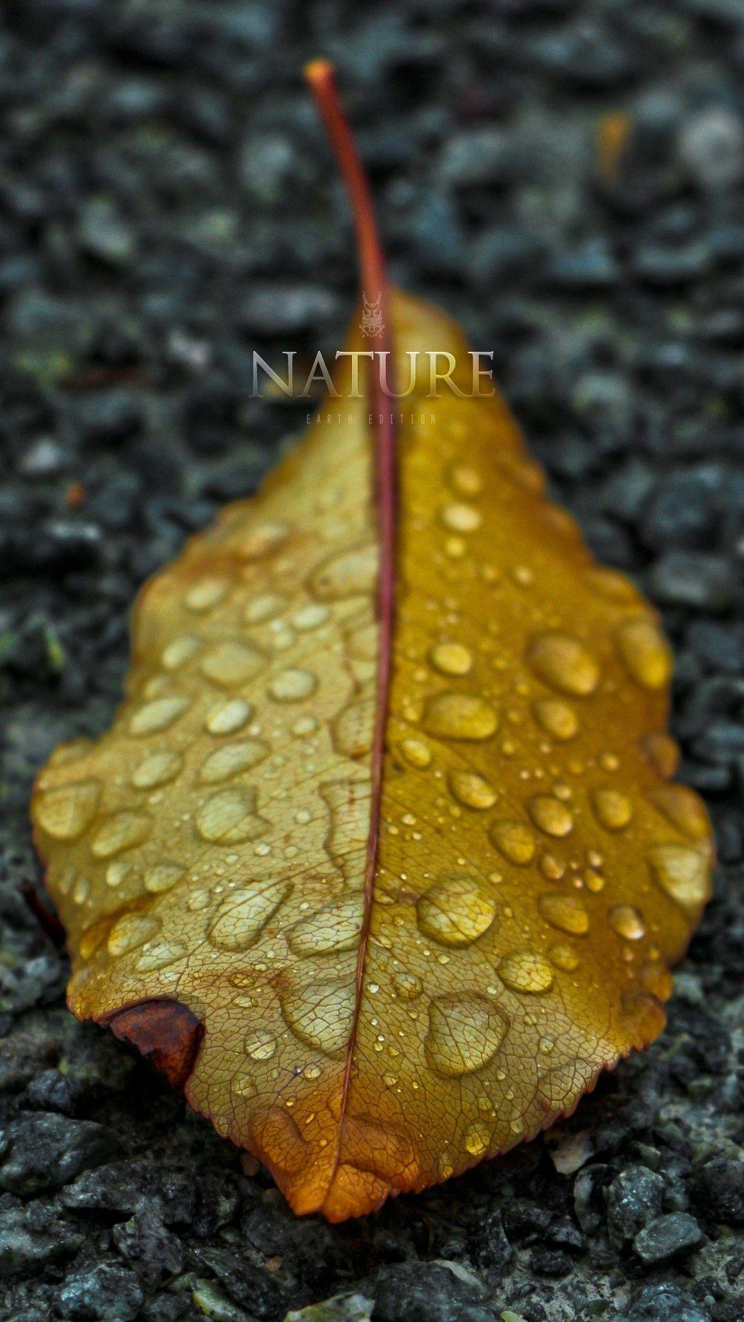 1080x1920 LG Phone Wallpaper