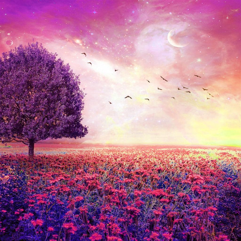 1024x1024 Garden Fairy Wallpaper