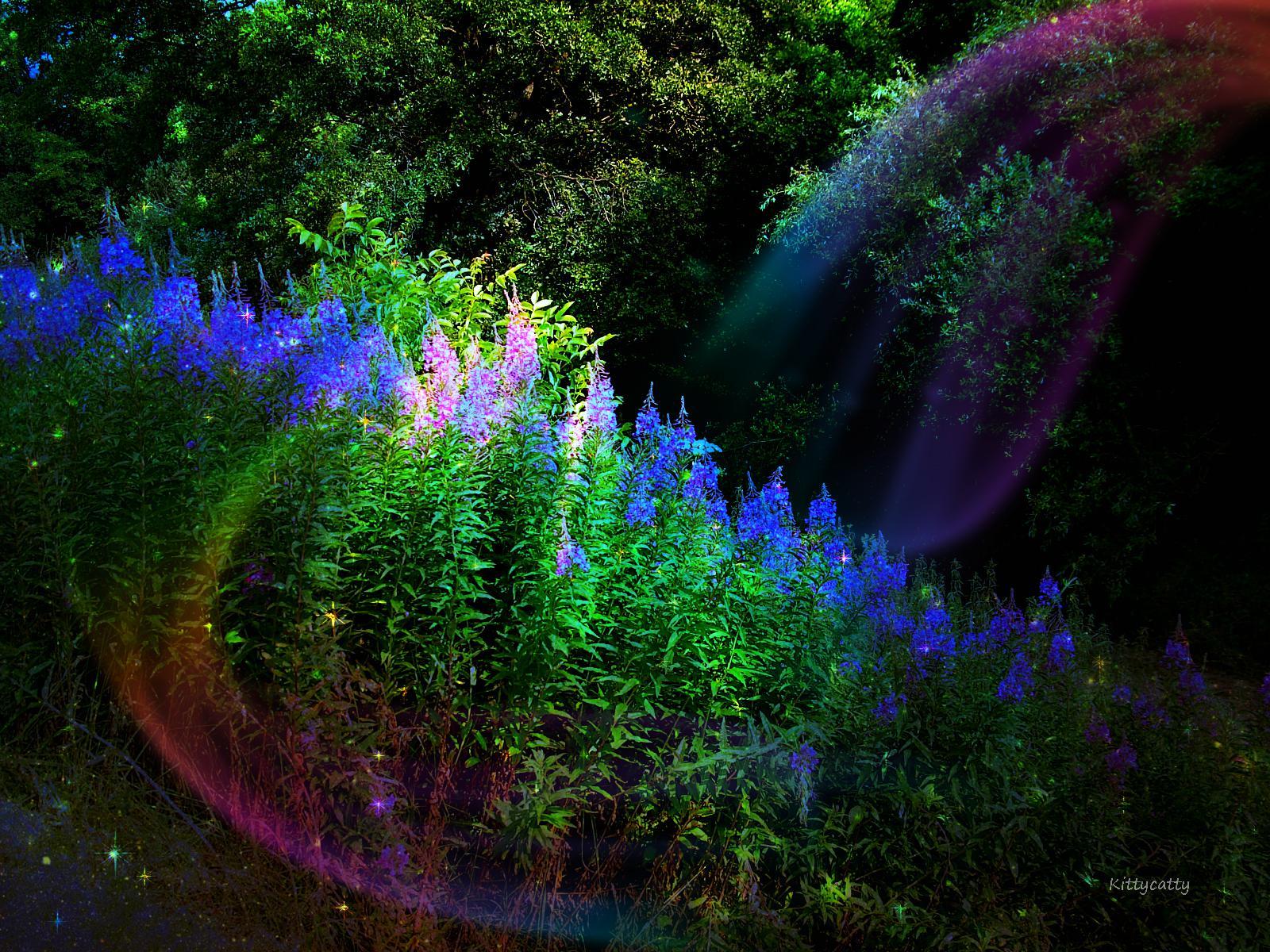 1600x1200 Secret Garden Wallpaper