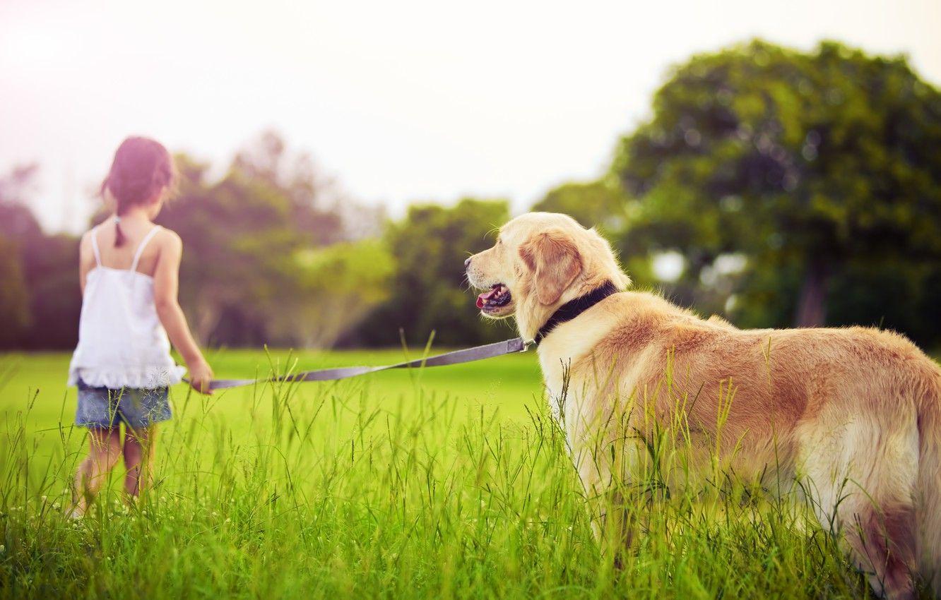 1332x850 Sad Girl With Dog Wallpaper