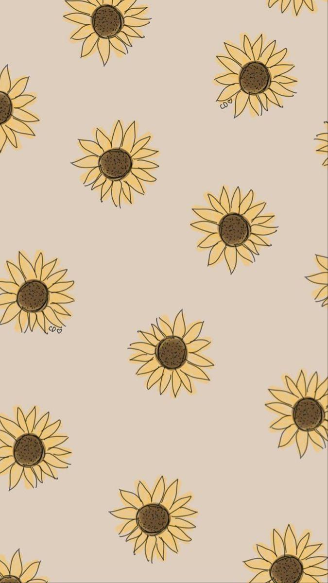 Cute Cartoon Sunflower Wallpapers - Top Free Cute Cartoon Sunflower ...