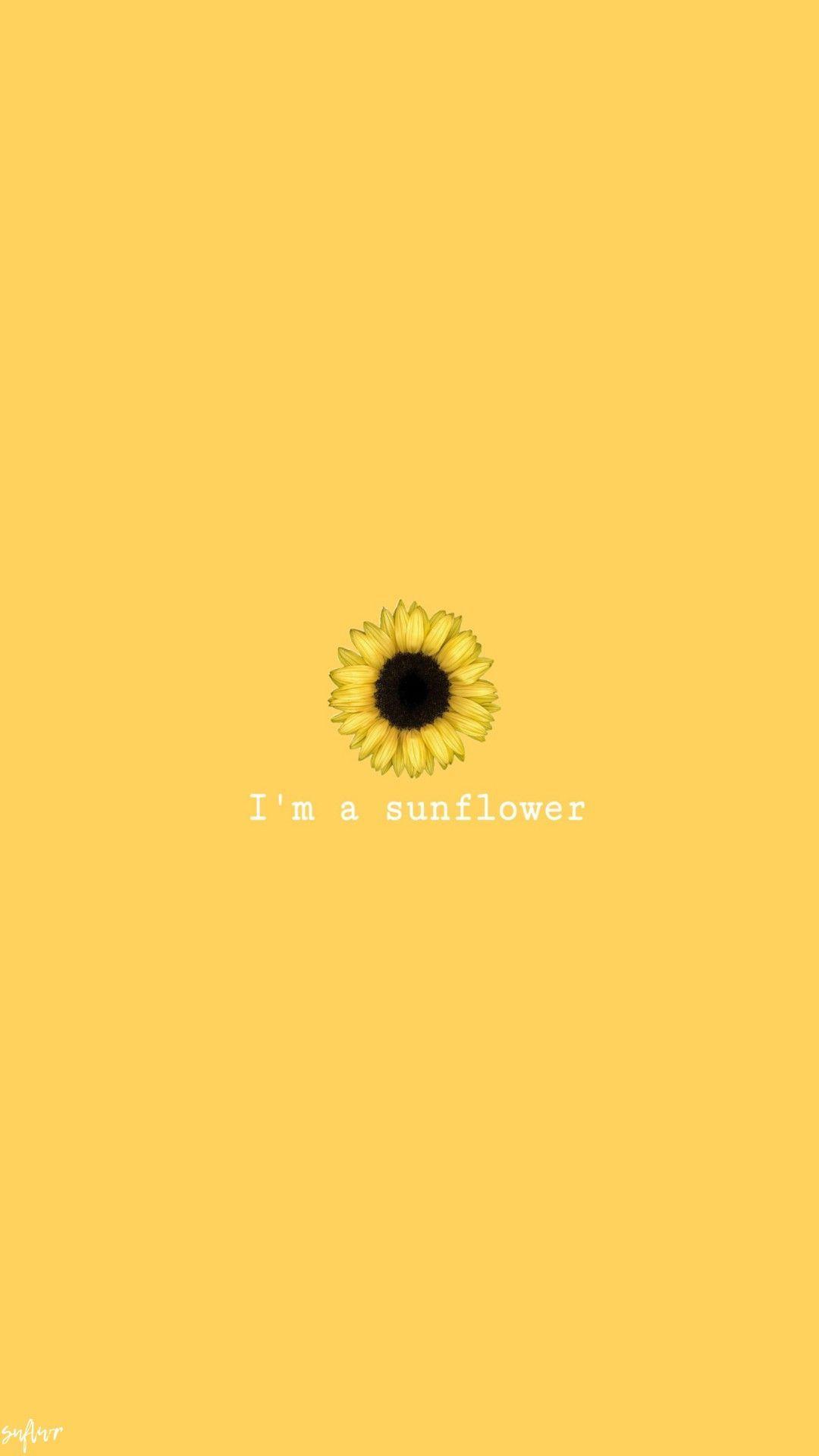 Cute Cartoon Sunflower Wallpapers - Top Free Cute Cartoon Sunflower ...