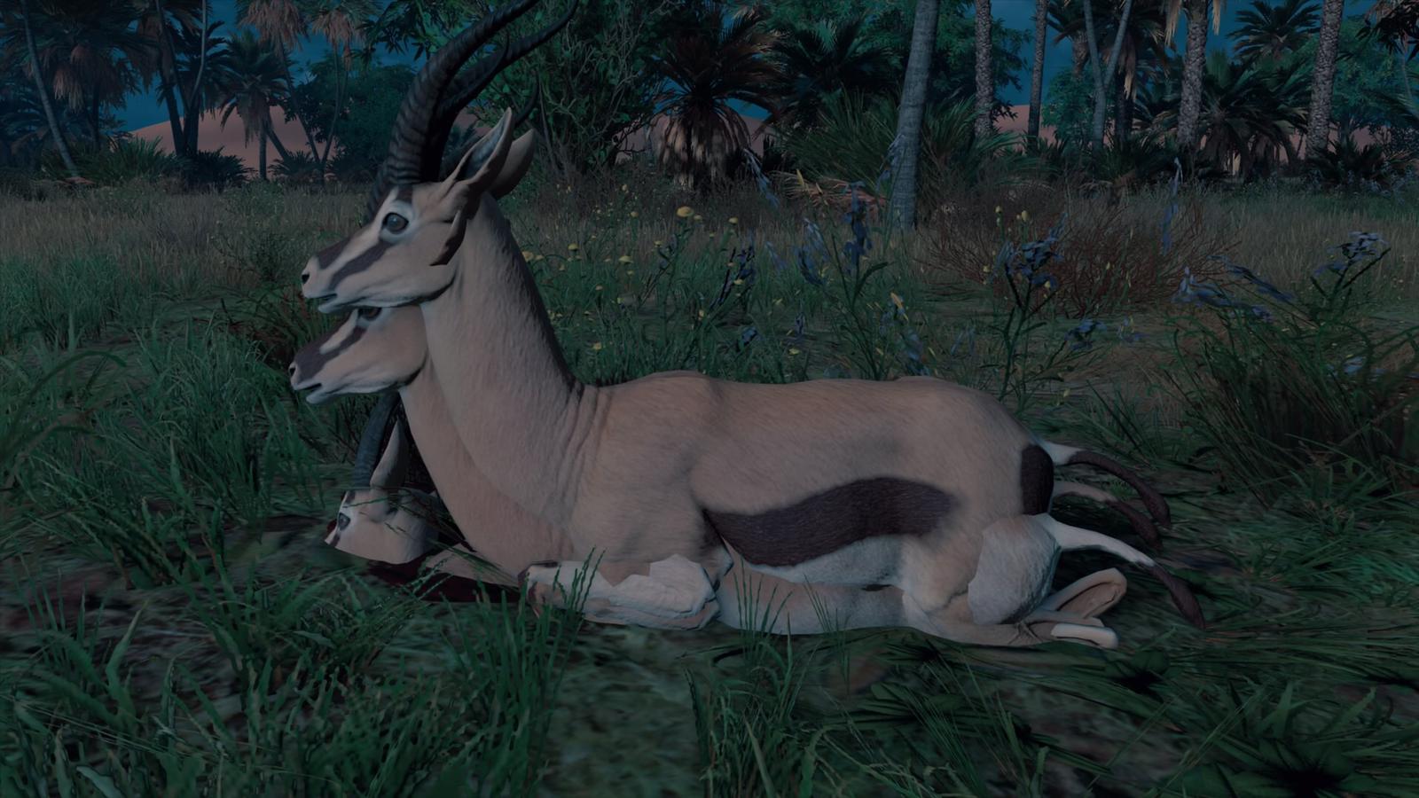 1600x900 What a weird glitch! They were running from a hyena before this happened. Almost platinumed assassins creed origins!
