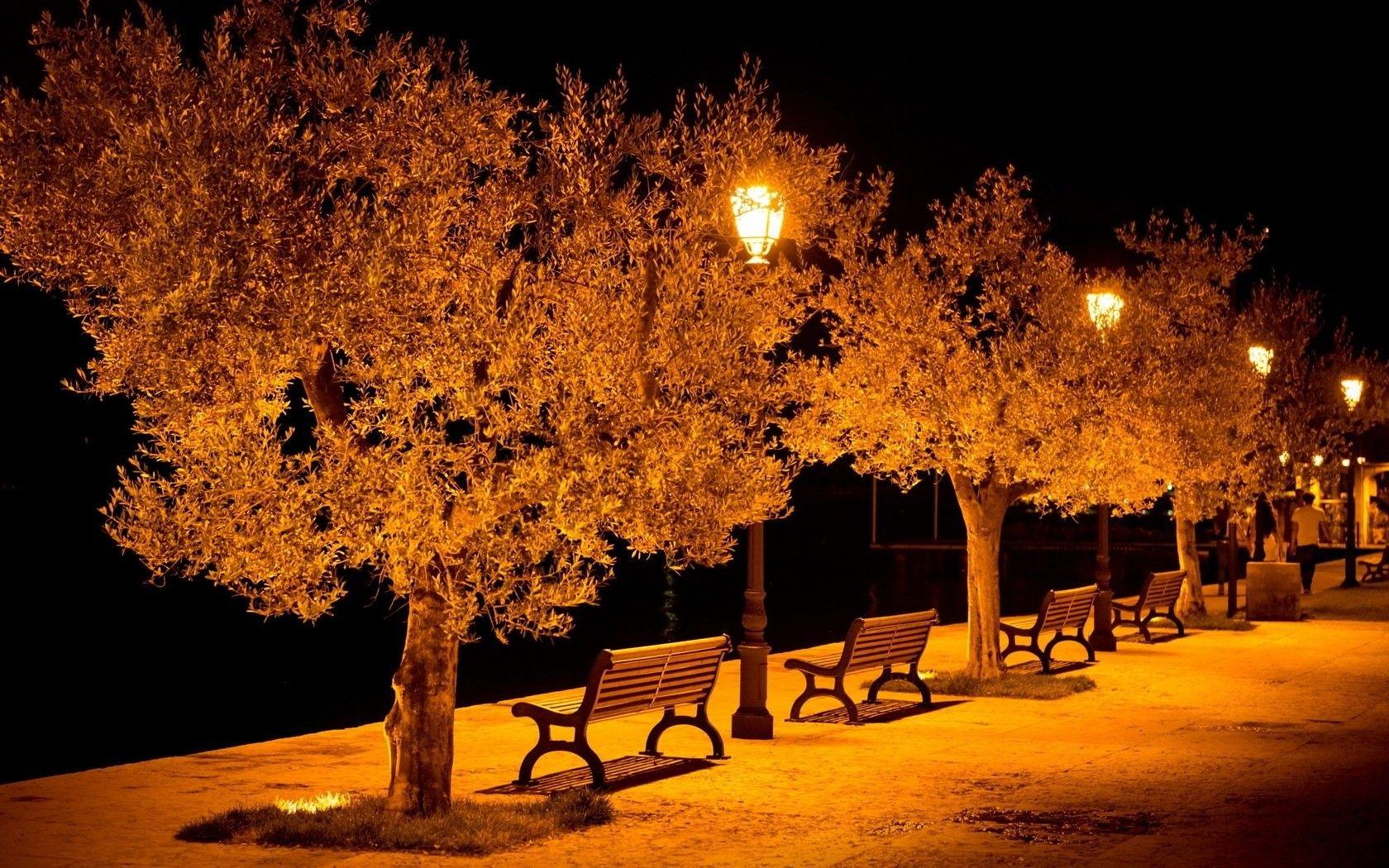 1680x1050 Park, nature Background, Free, Wallpaper, Benches, Evening Free Wallpaper, Lights, Street, city