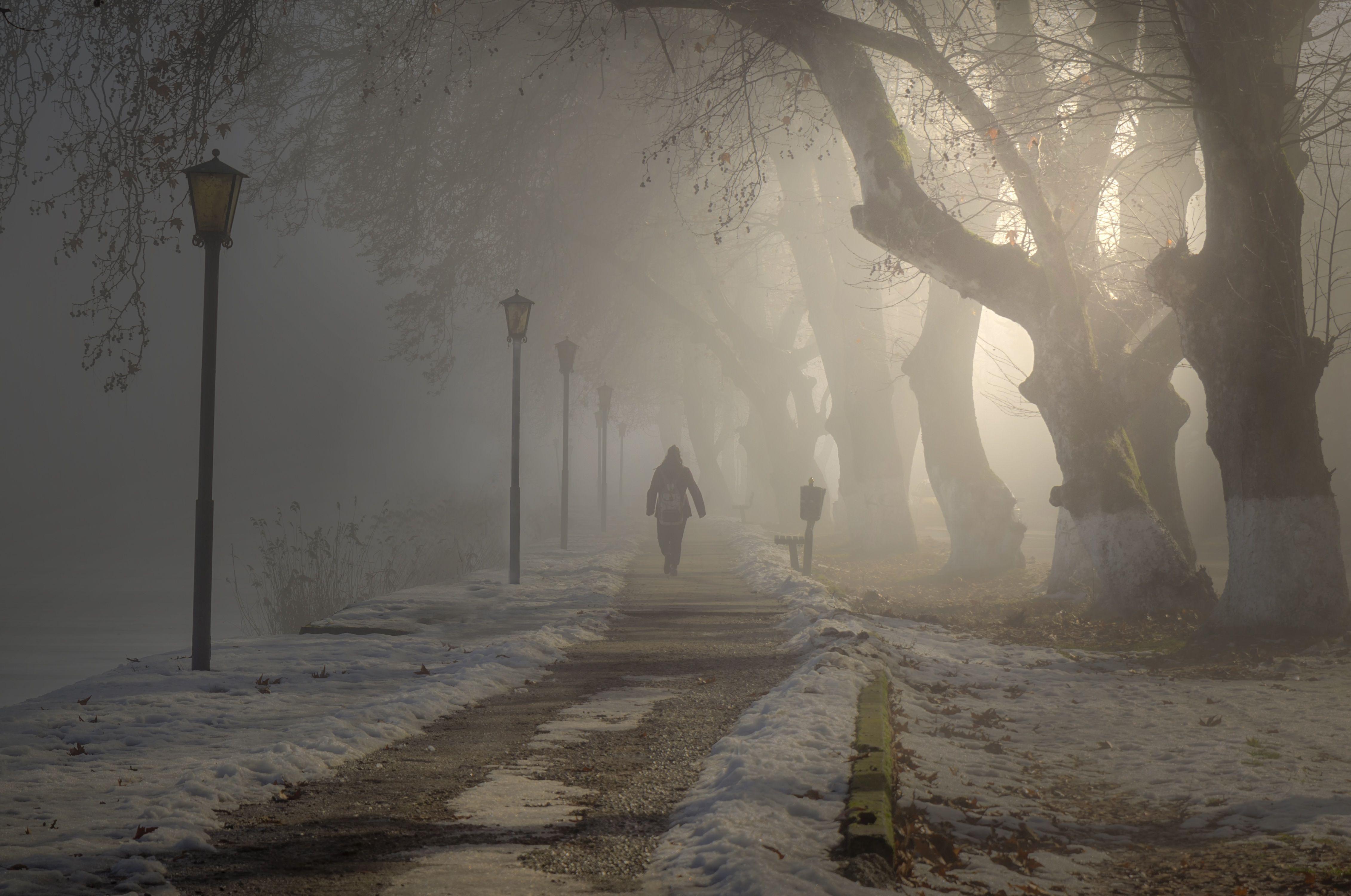 4524x3001 Desktop Wallpaper Fog path Walking park Street lights 4524x3001