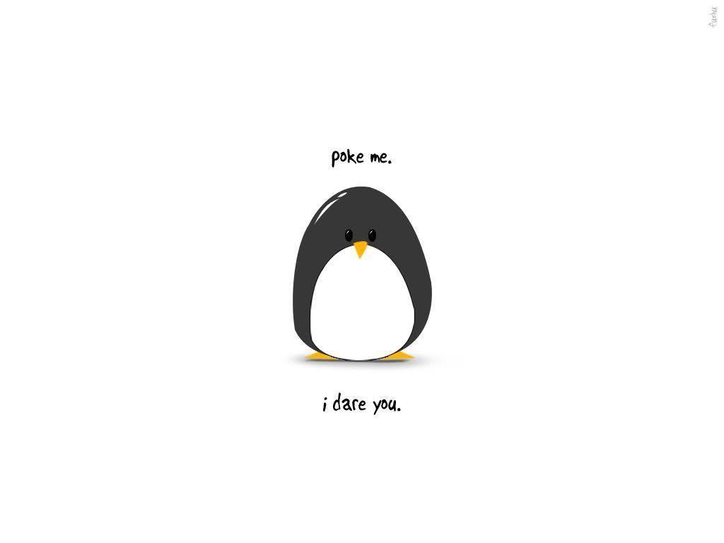 1024x768 Cartoon Penguin Wallpaper