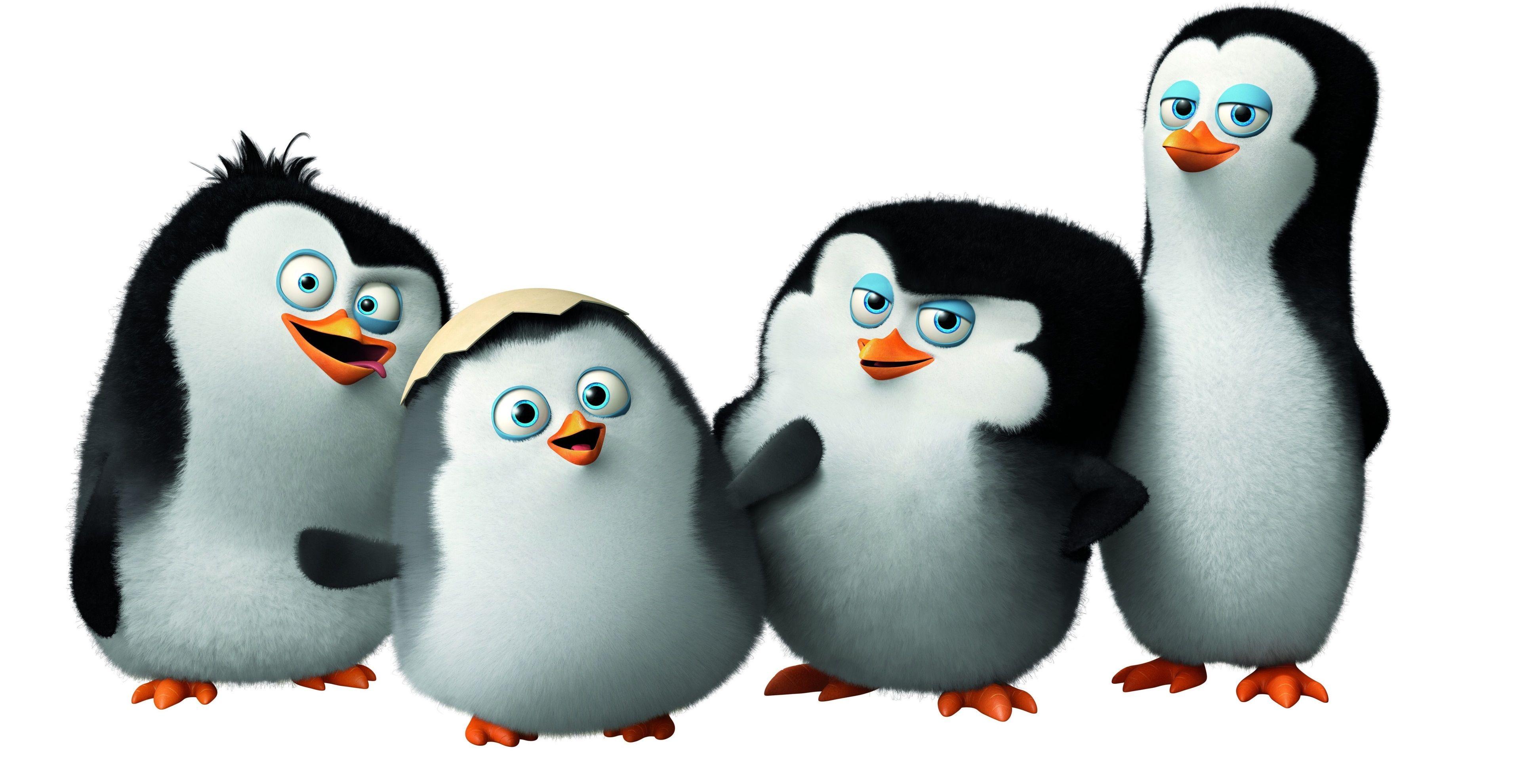 3840x1979 penguins of madagascar 4k amazing picture. Penguins of madagascar, Penguins, Cute penguin cartoon