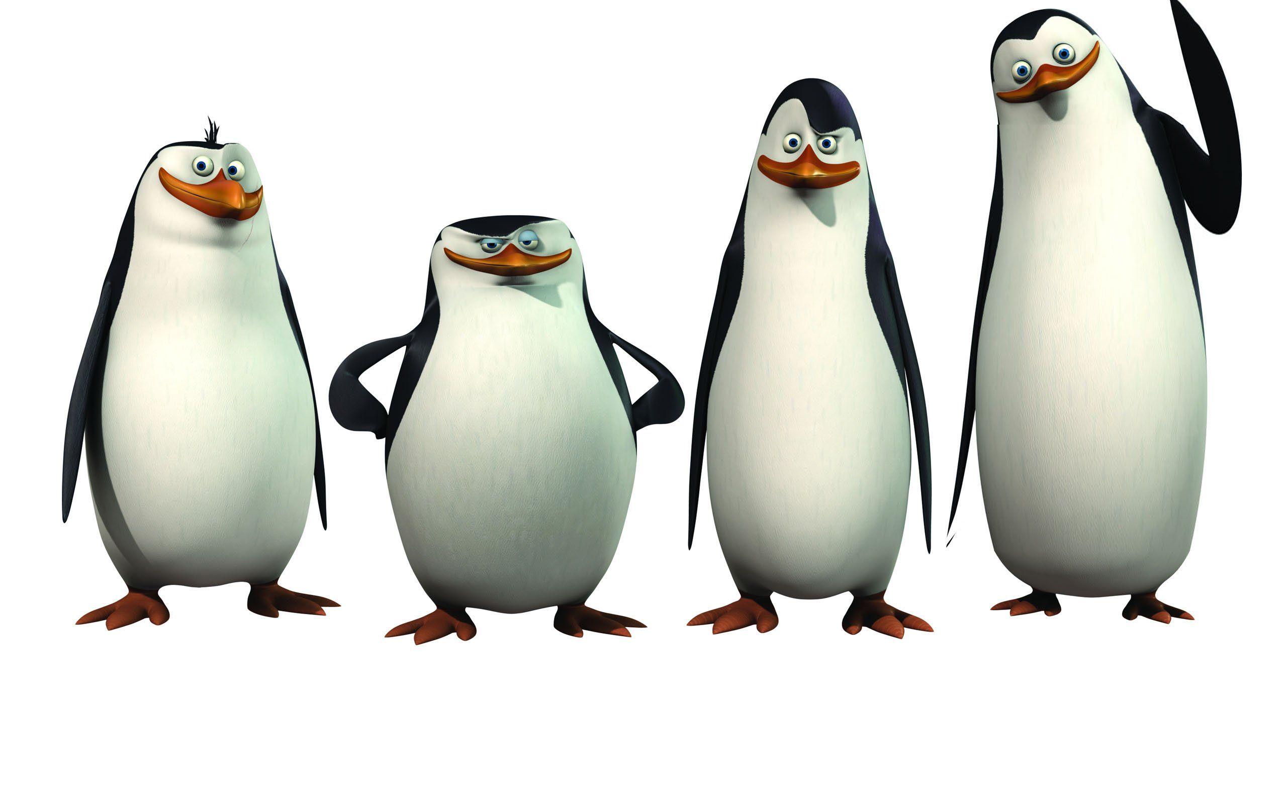 2560x1600 penguins, Of, Madagascar, Animation, Comedy, Adventure, Family, Penguin, Cartoon Wallpaper HD / Desktop and Mobile Background