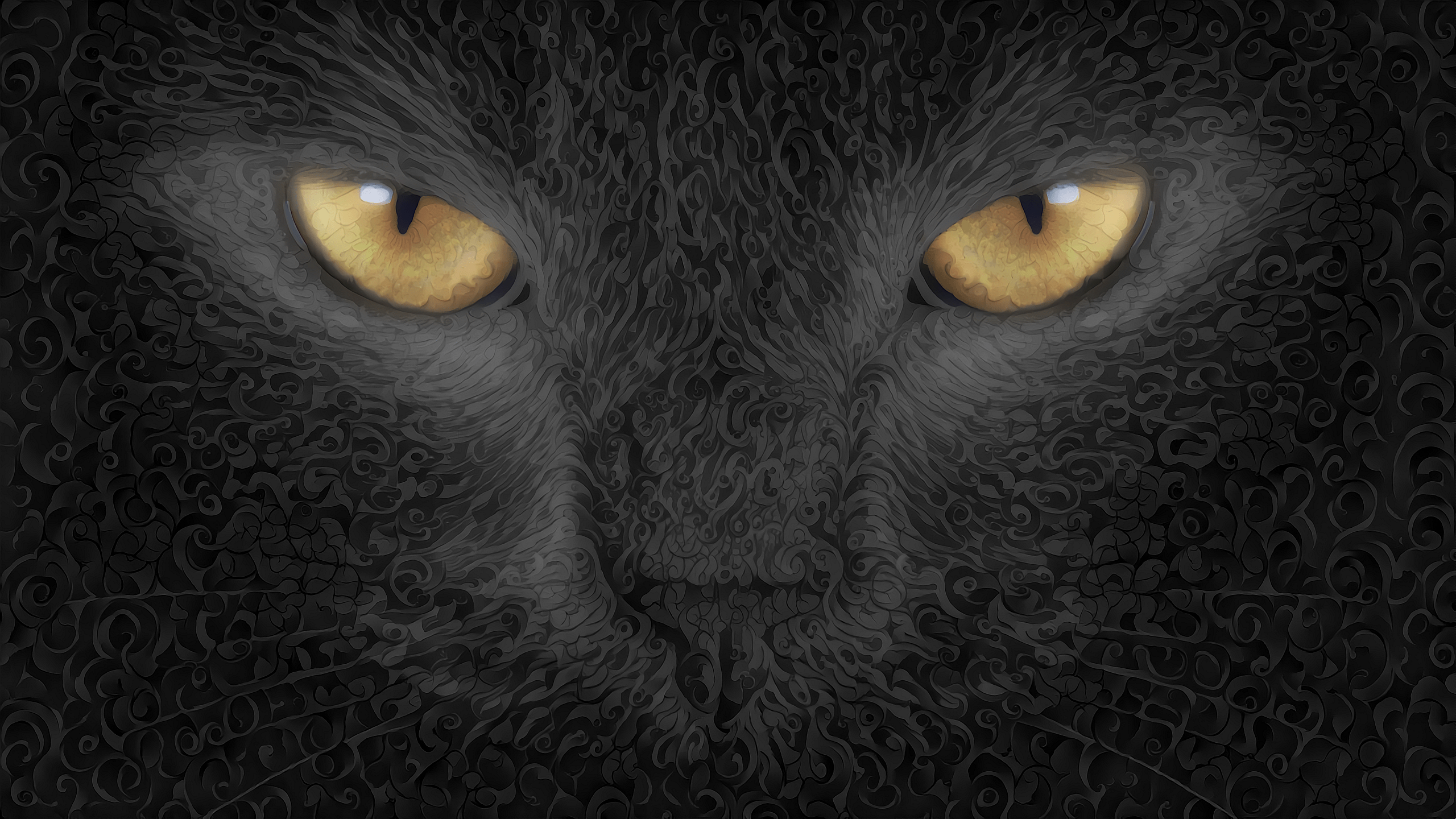 2560x1440 Deep Art Cats Closeup Wallpaper:2560x1440