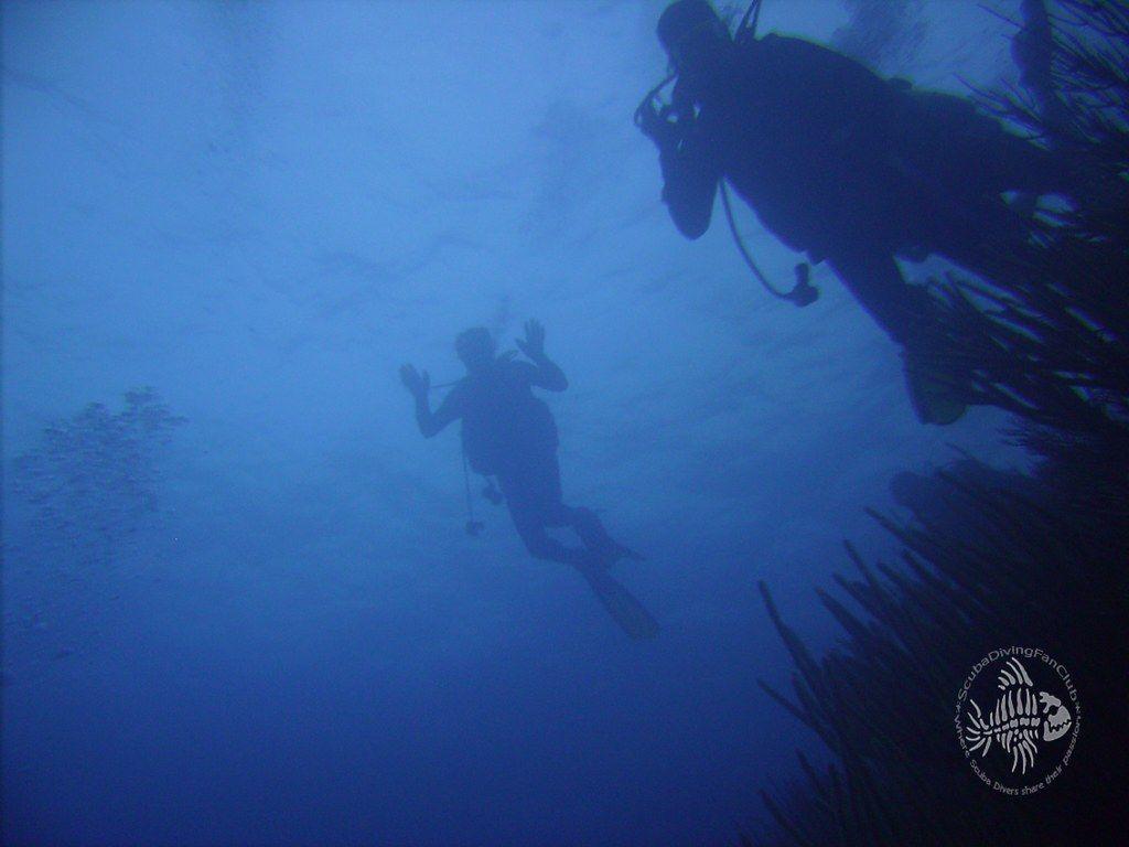 1024x768 Scuba Diving Wallpaper Free Diving Wallpaper