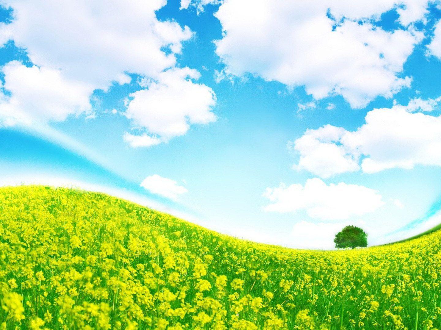 1440x1080 Beautiful Green Hill 1024x768 Wallpaper HD Bac Wallpaper. Grass field, Nature wallpaper, Wallpaper