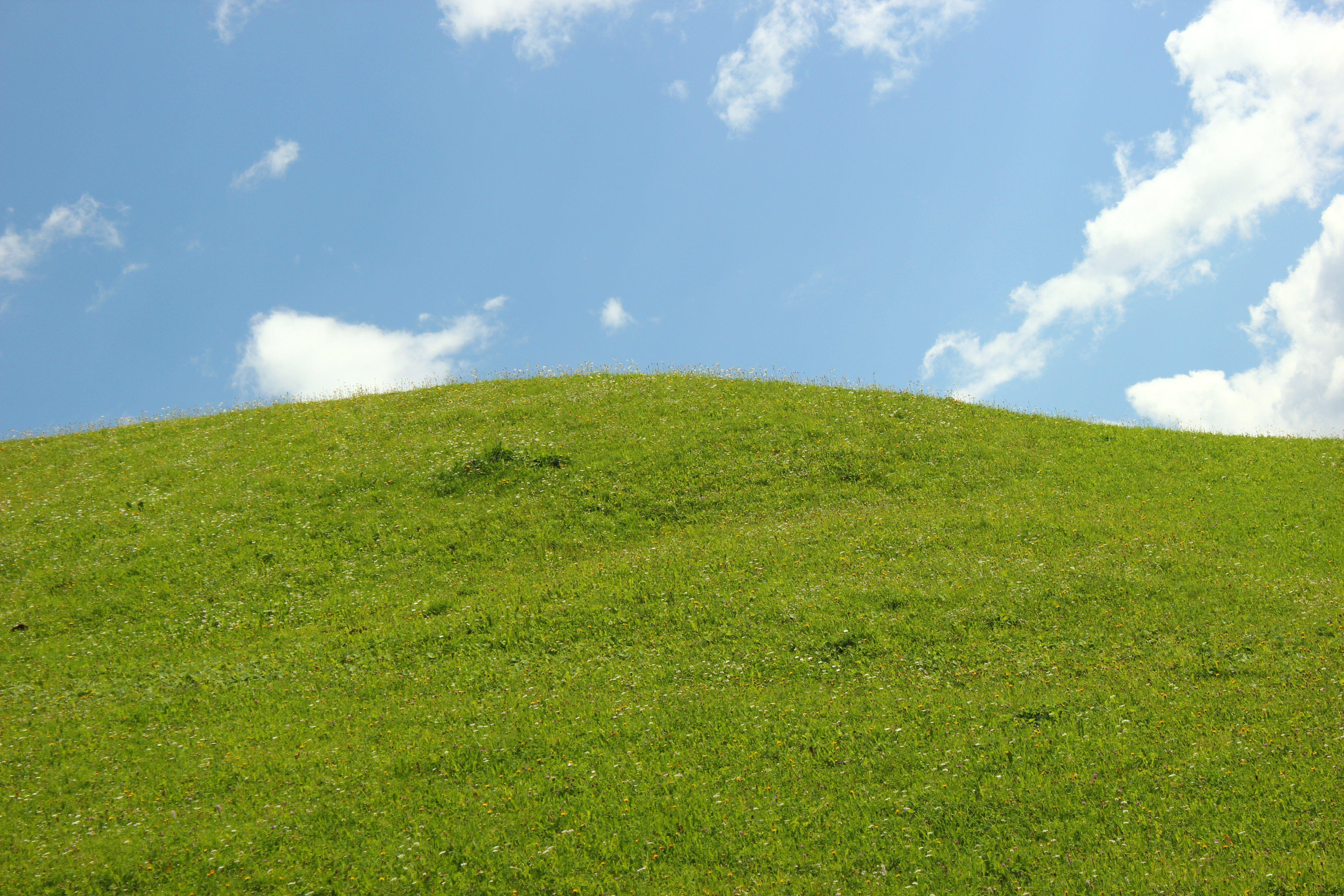 5184x3456 Free download Grassy hill and sky backgroundjpg iSight Photo [5184x3456] for your Desktop, Mobile & Tablet. Explore Background Pic. Background Pic, Black Background Pic, Pic Of Wallpaper