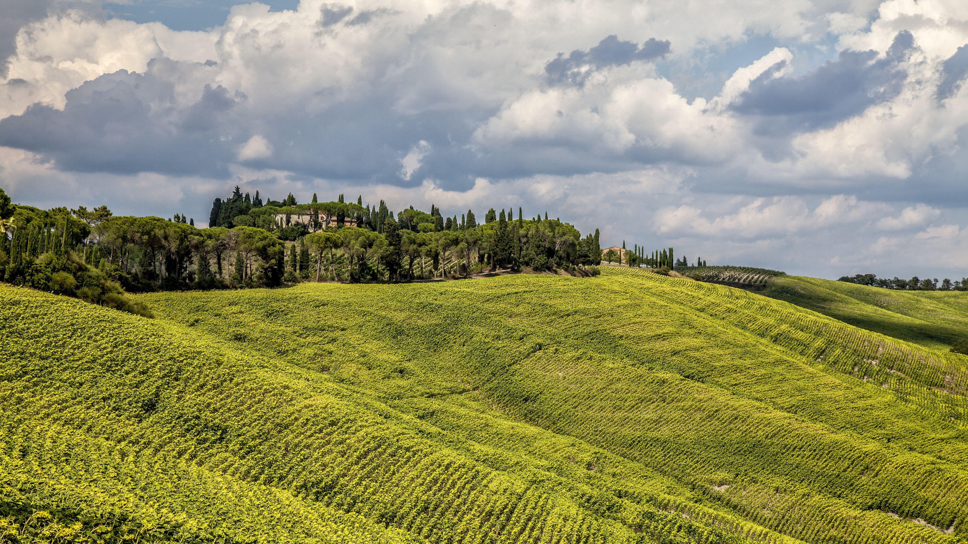3840x2160 Download wallpaper 3840x2160 grass, field, hill 4k uhd 16:9 HD background