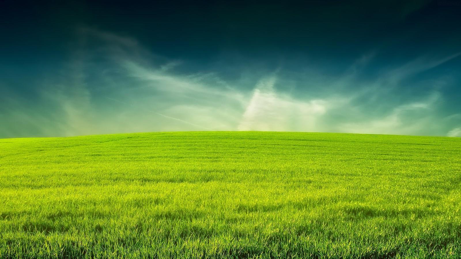 1600x900 Hill Wallpaper