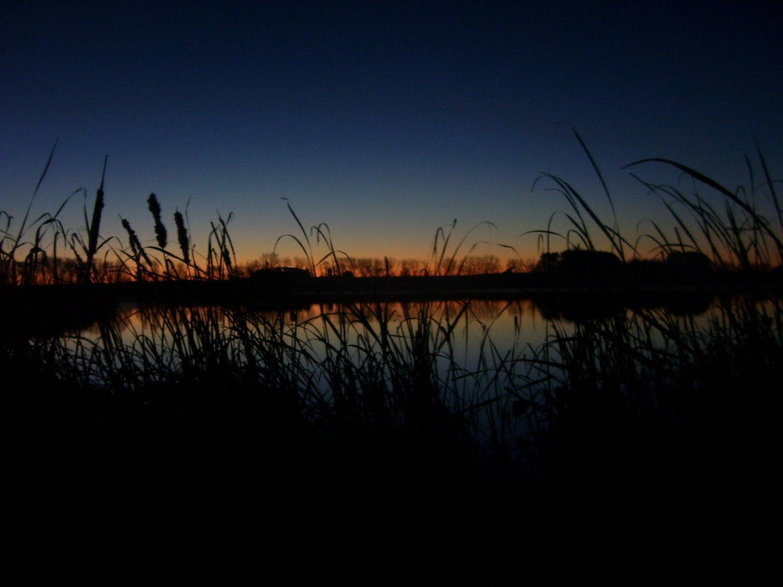 1600x1200 Duck Hunting Background