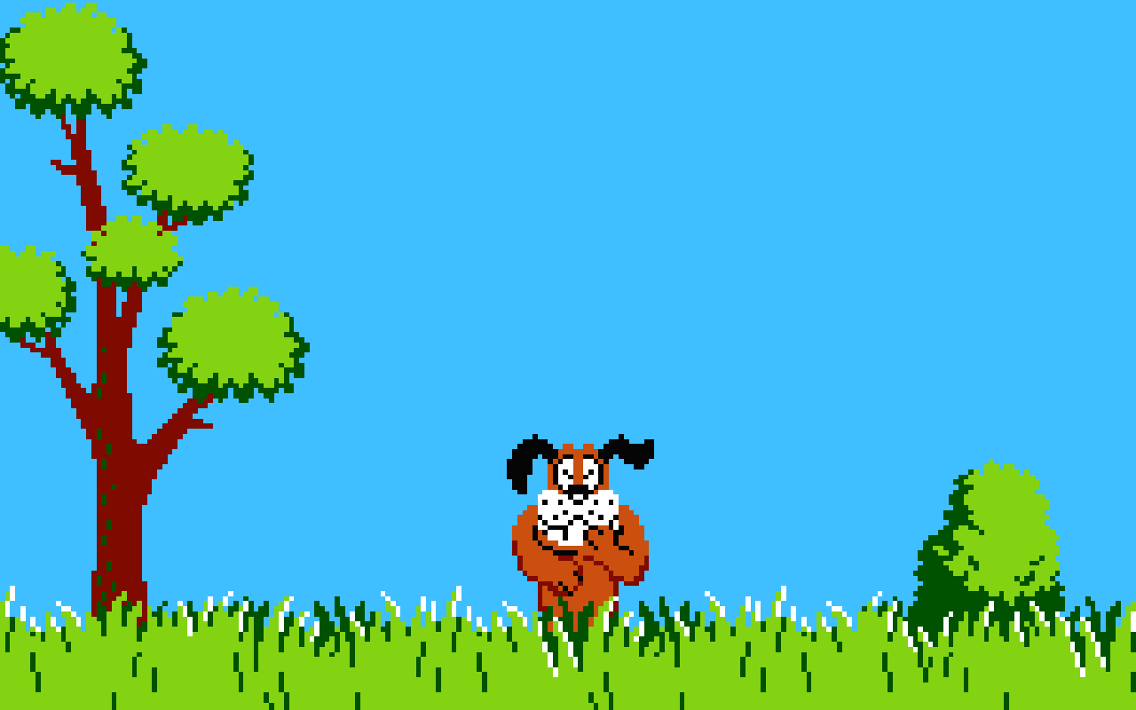 1280x800 Duck Hunting Wallpaper Waraqh