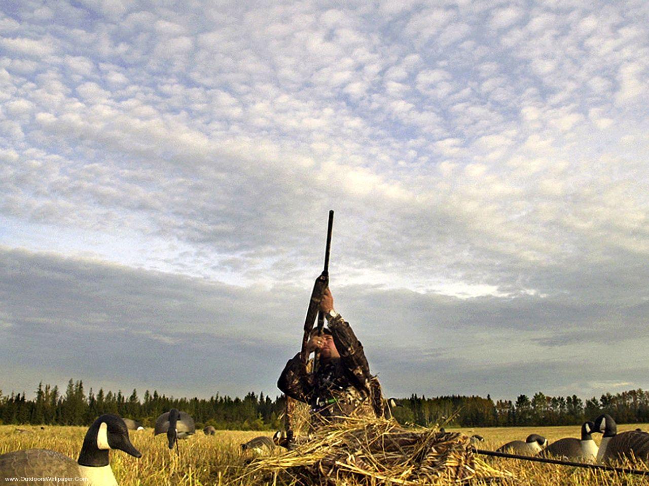 1280x960 Waterfowl Hunting Wallpaper