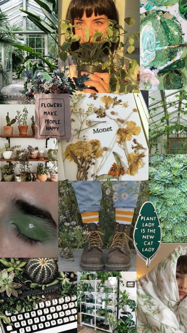 750x1334 Plants Aesthetic Wallpaper