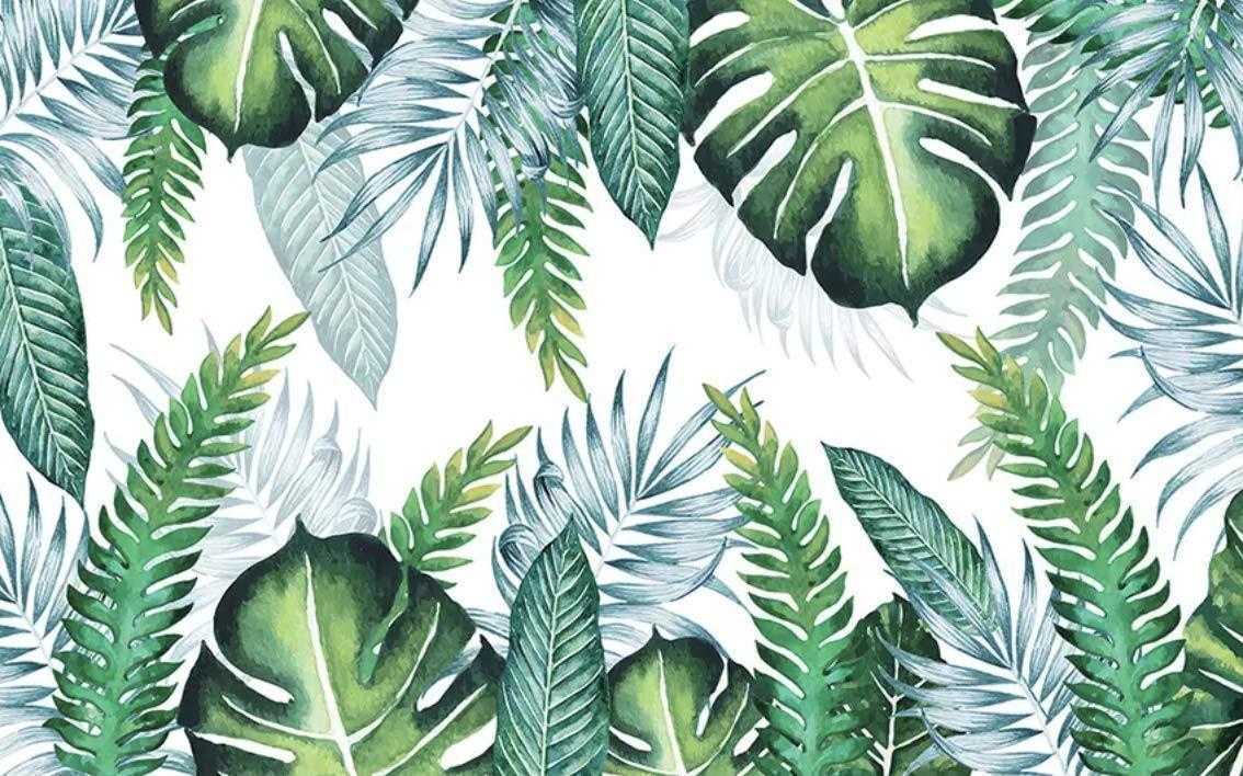 1134x708 Plant Wallpaper