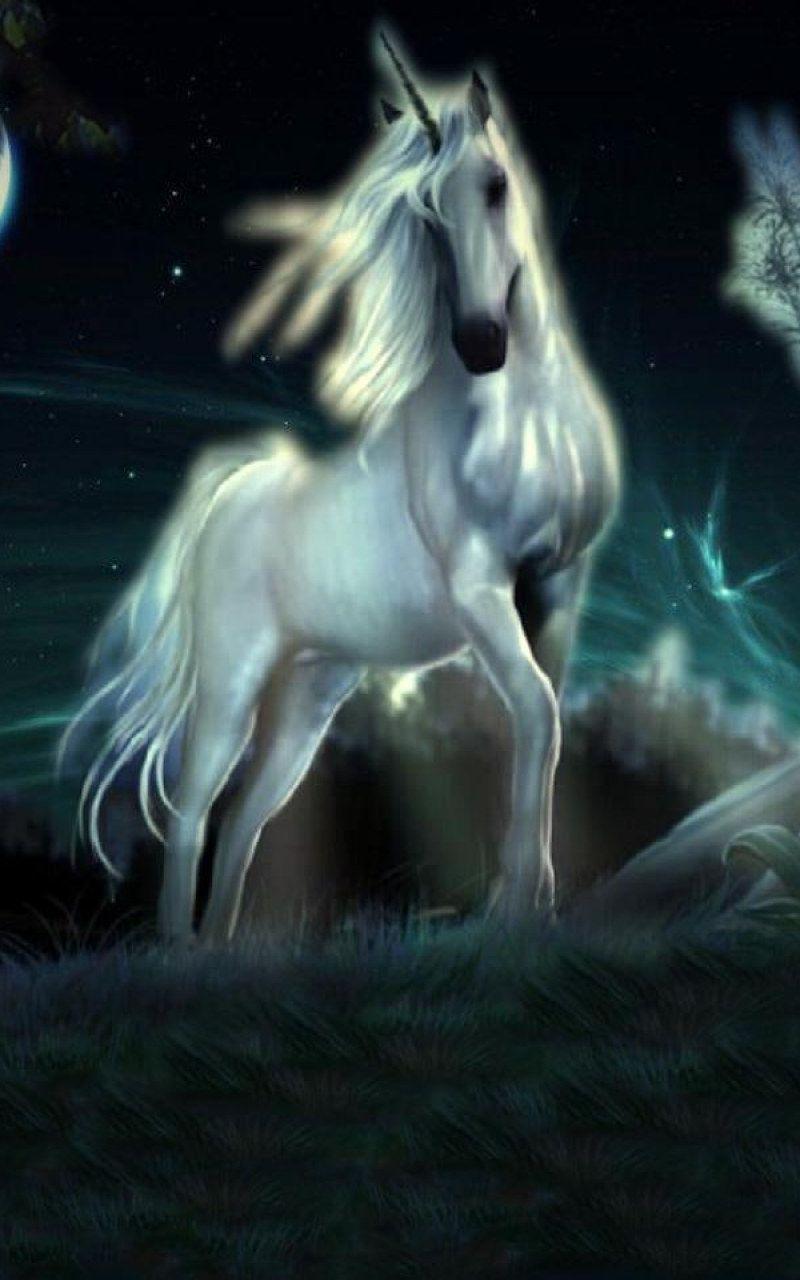 800x1280 Fantasy Animals wallpaper, Unicorn • Wallpaper For You HD Wallpaper For Desktop & Mobile