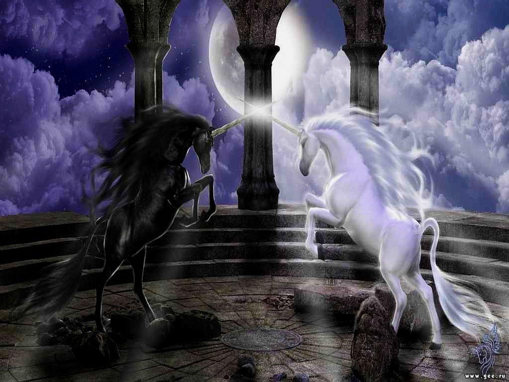 1024x768 Unicorns Wallpaper