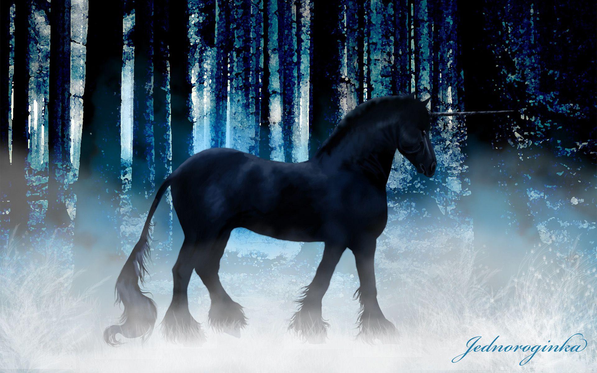 1920x1200 Black Unicorns 1 Free HD Wallpaper