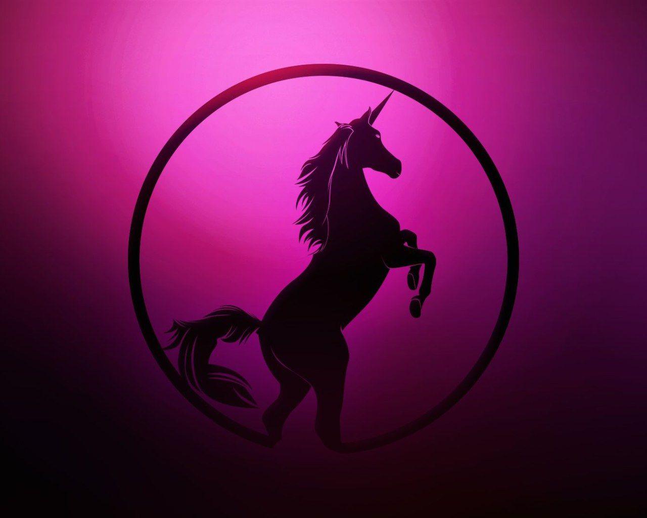 1280x1024 Pink and Black Unicorn • Wallpaper For You HD Wallpaper For Desktop & Mobile