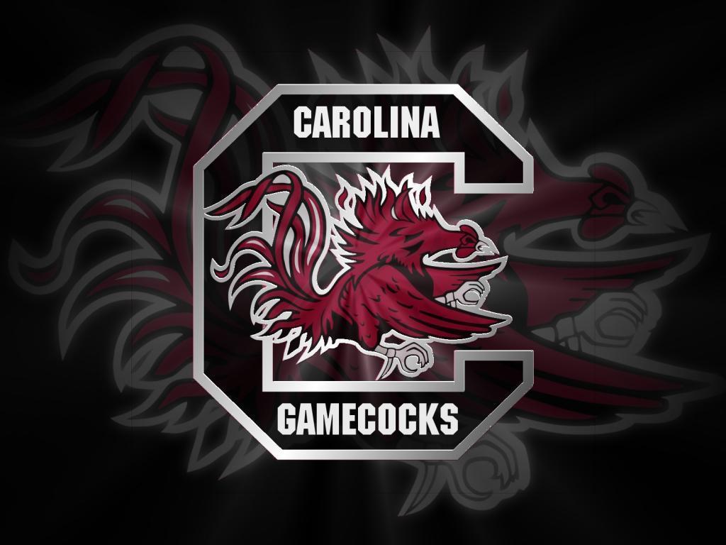South Carolina Gamecocks Wallpapers Top Free South Carolina Gamecocks