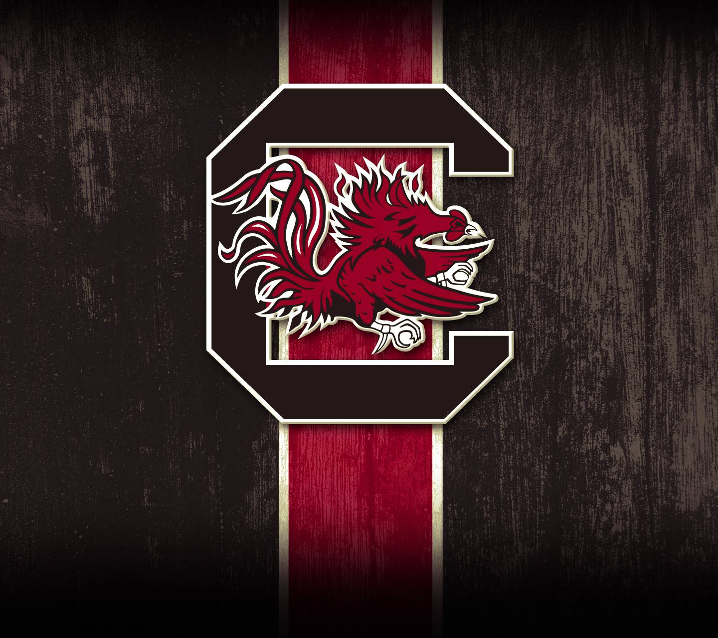 University of South Carolina Wallpapers - Top Free University of South ...