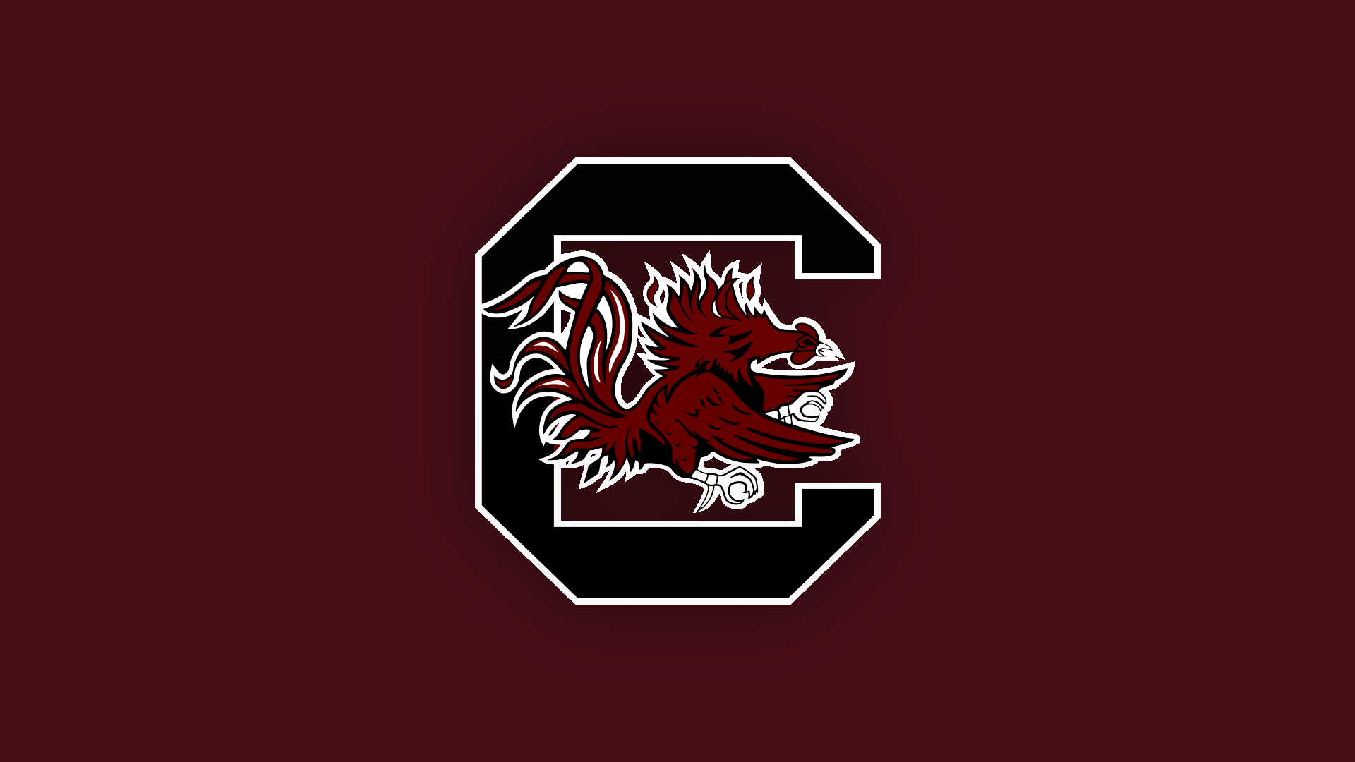 Usc Gamecocks Wallpaper