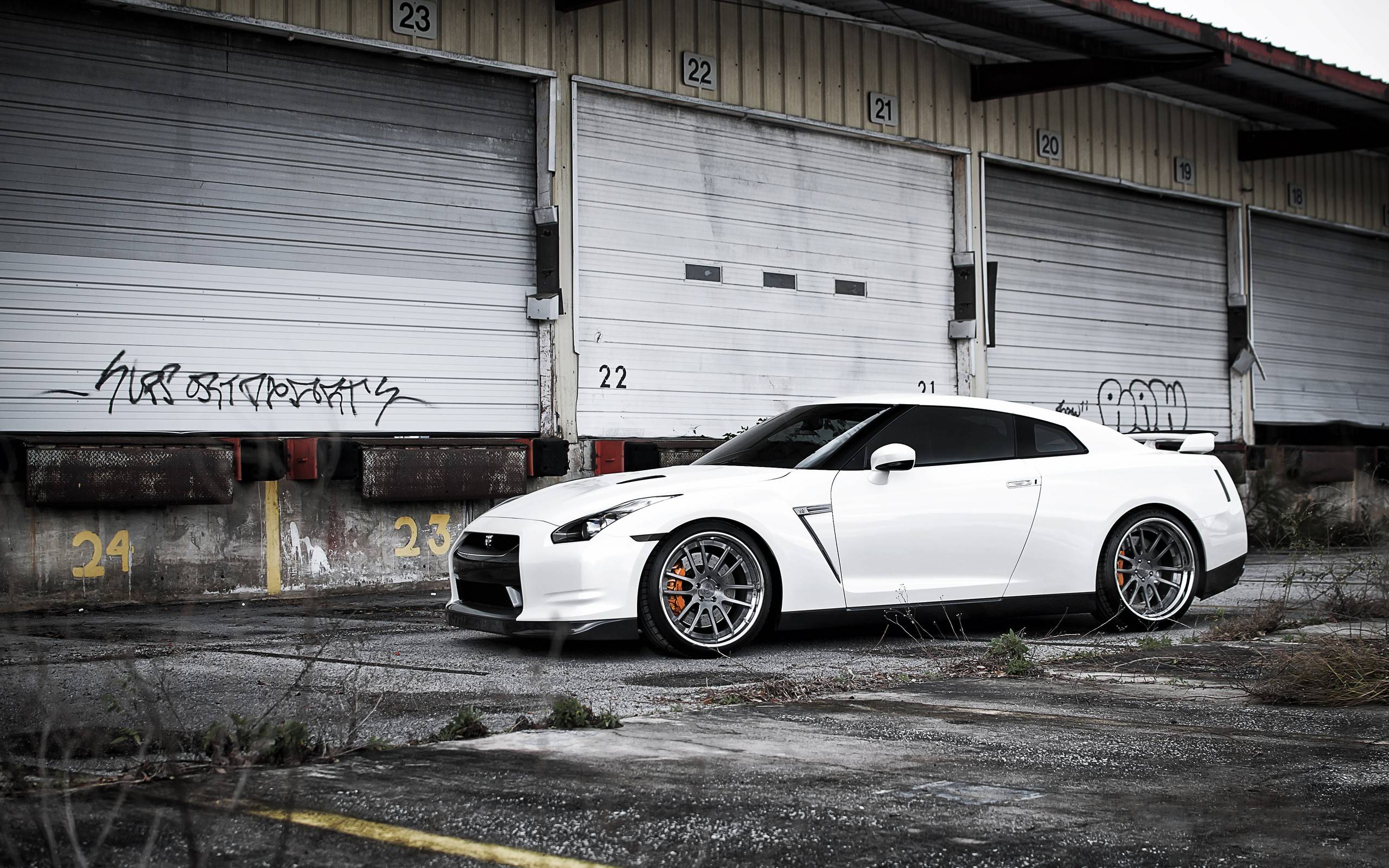 2560x1600 White Gtr Wallpaper HD